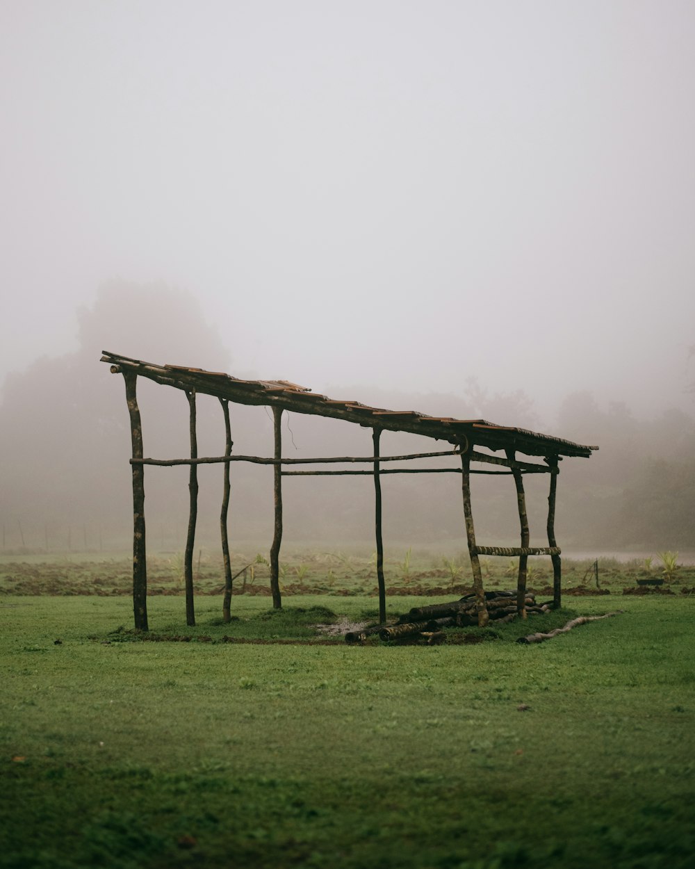 brown wooden ladder on green grass field during daytime