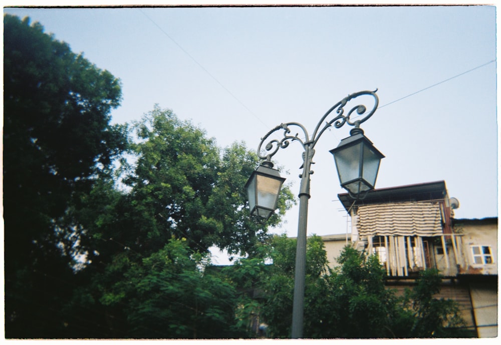 black street light near green tree during daytime
