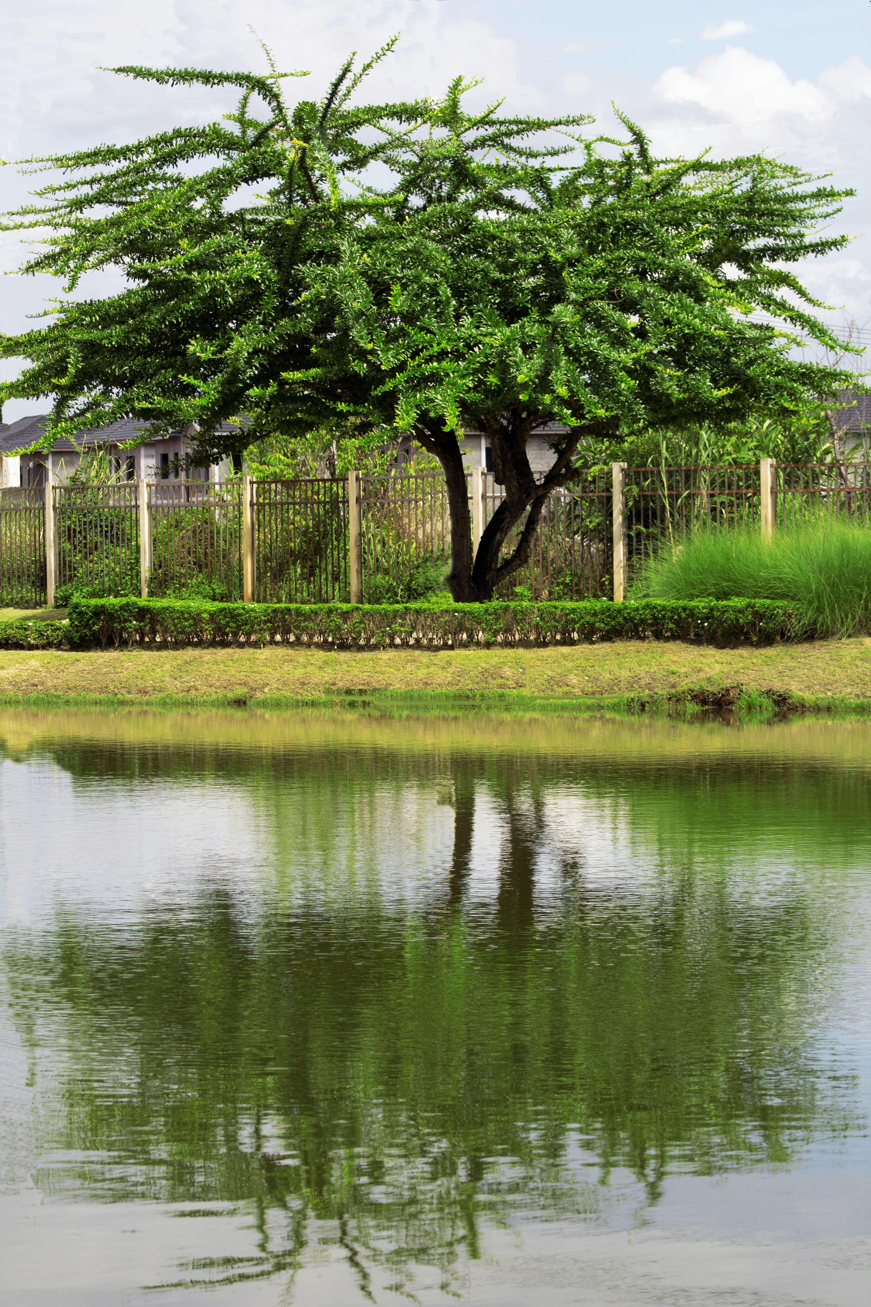 Photo by and_photo06