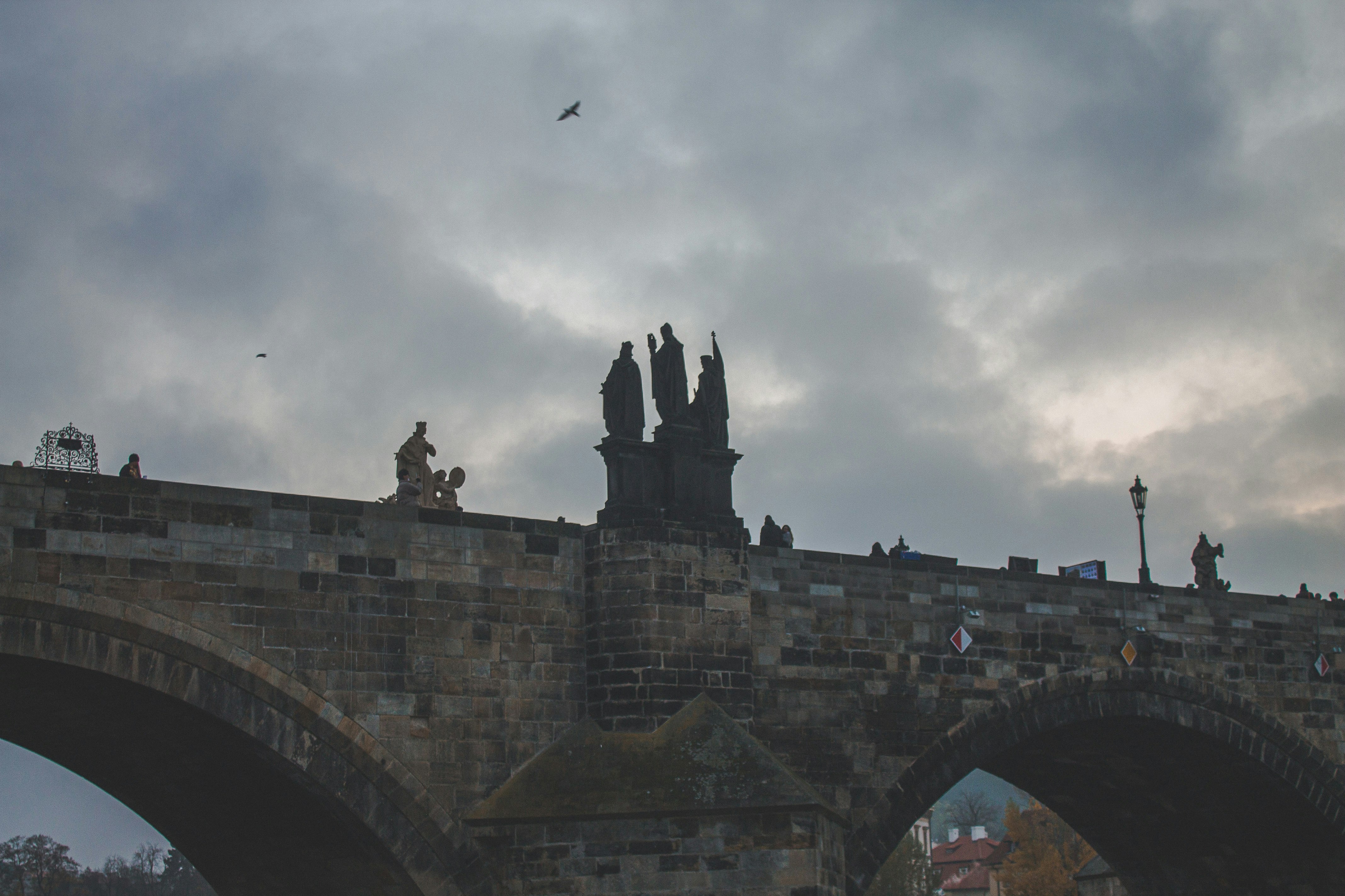 flock of birds flying over the bridge