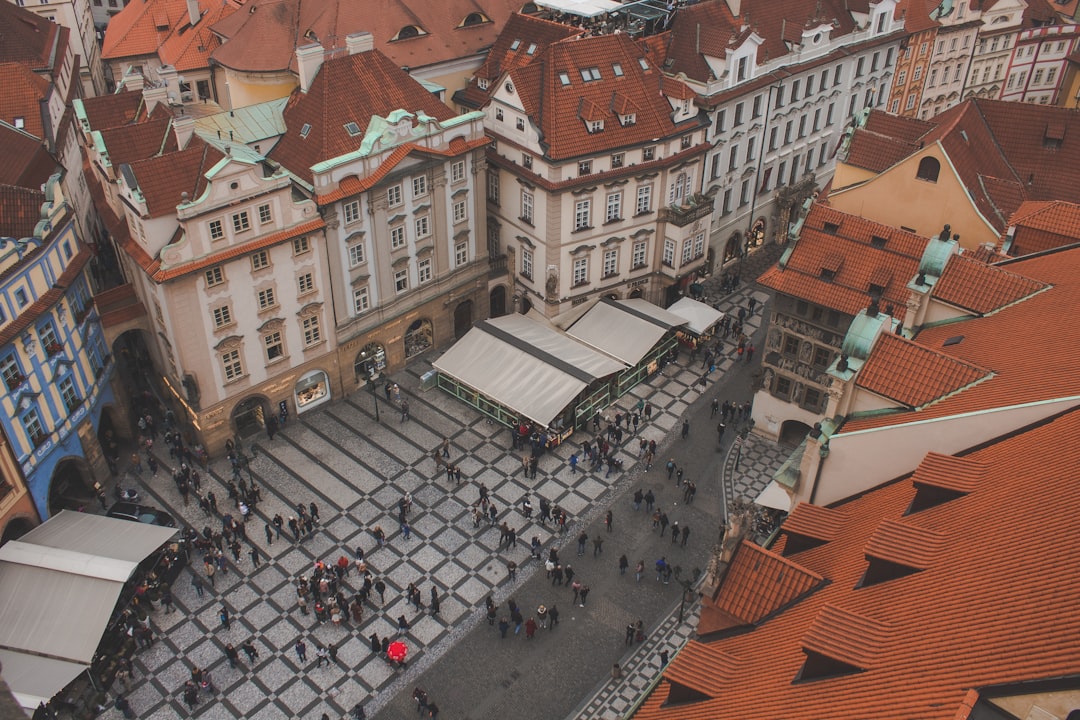 people walking on street near buildings during daytime