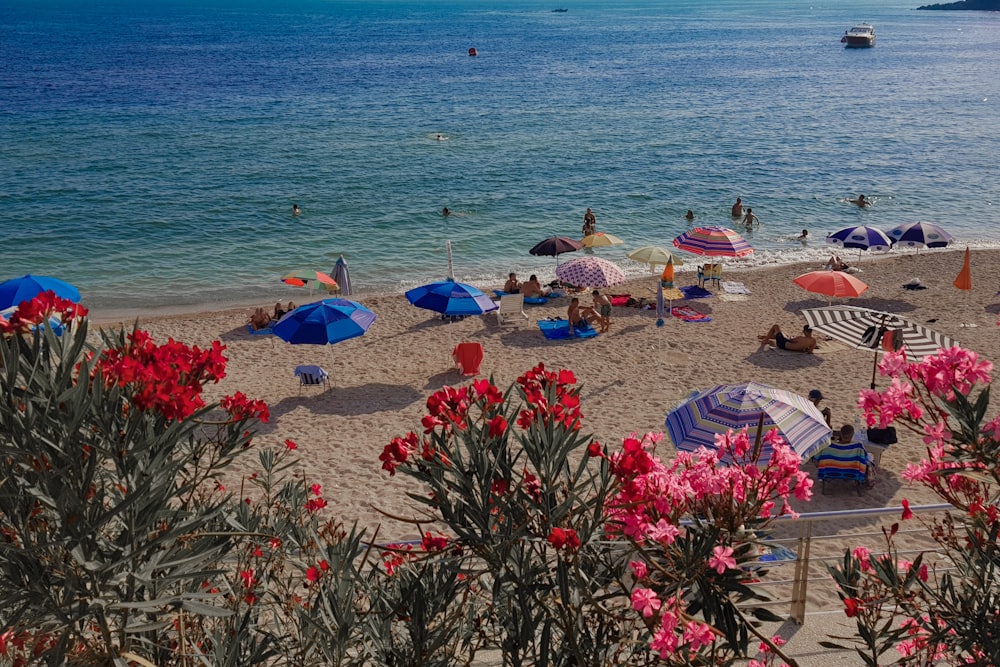 people on beach during daytime