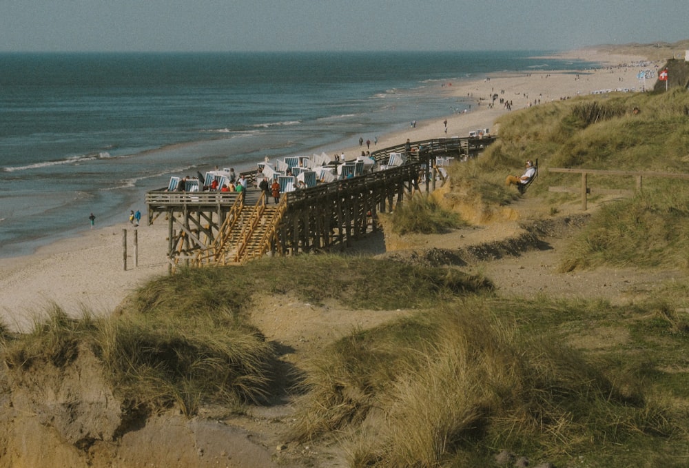 people on beach during daytime