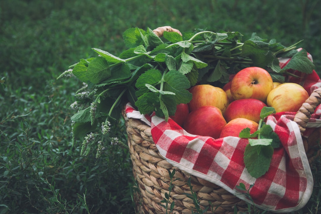 red apples on brown woven basket