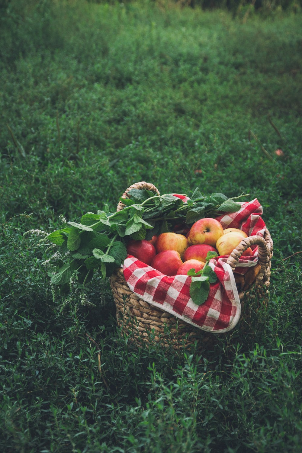 Frutas anaranjadas en canasta tejida marrón sobre hierba verde durante el día