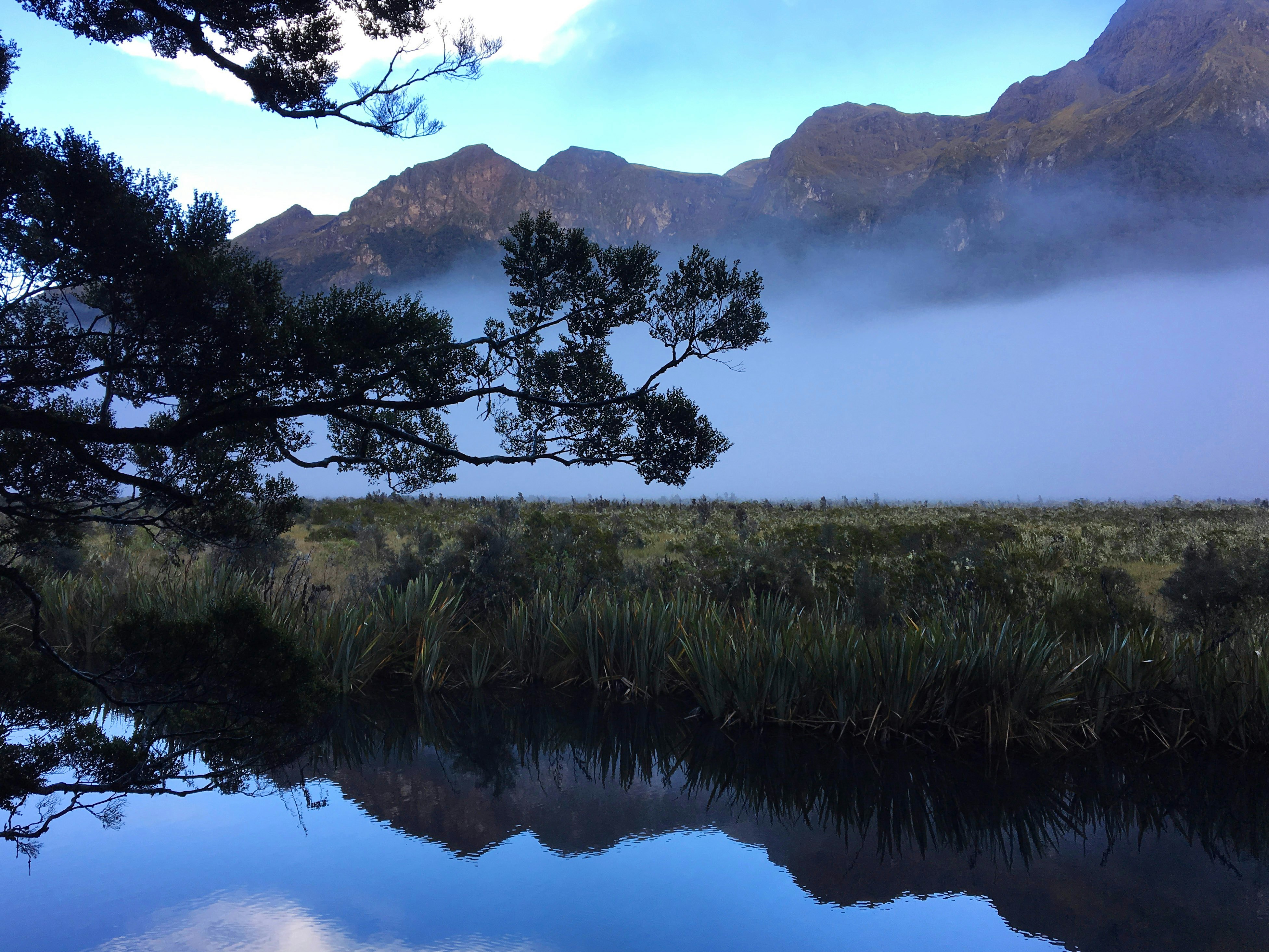 Foggy nature background in Te Anau, Southland, New Zealand.