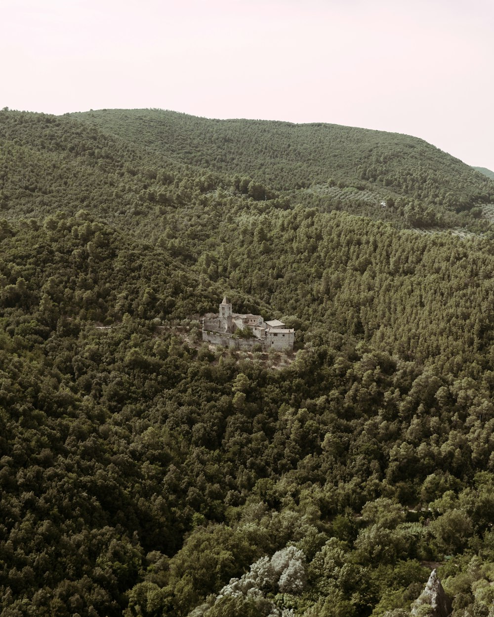 a castle in the middle of a forest