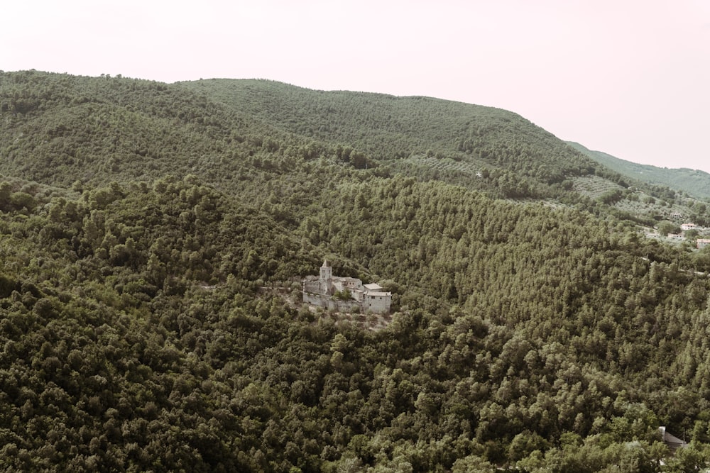 a house in the middle of a forest