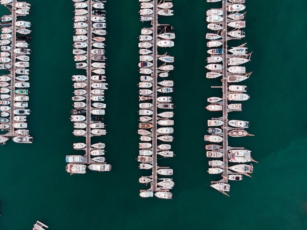 white and black boat on water