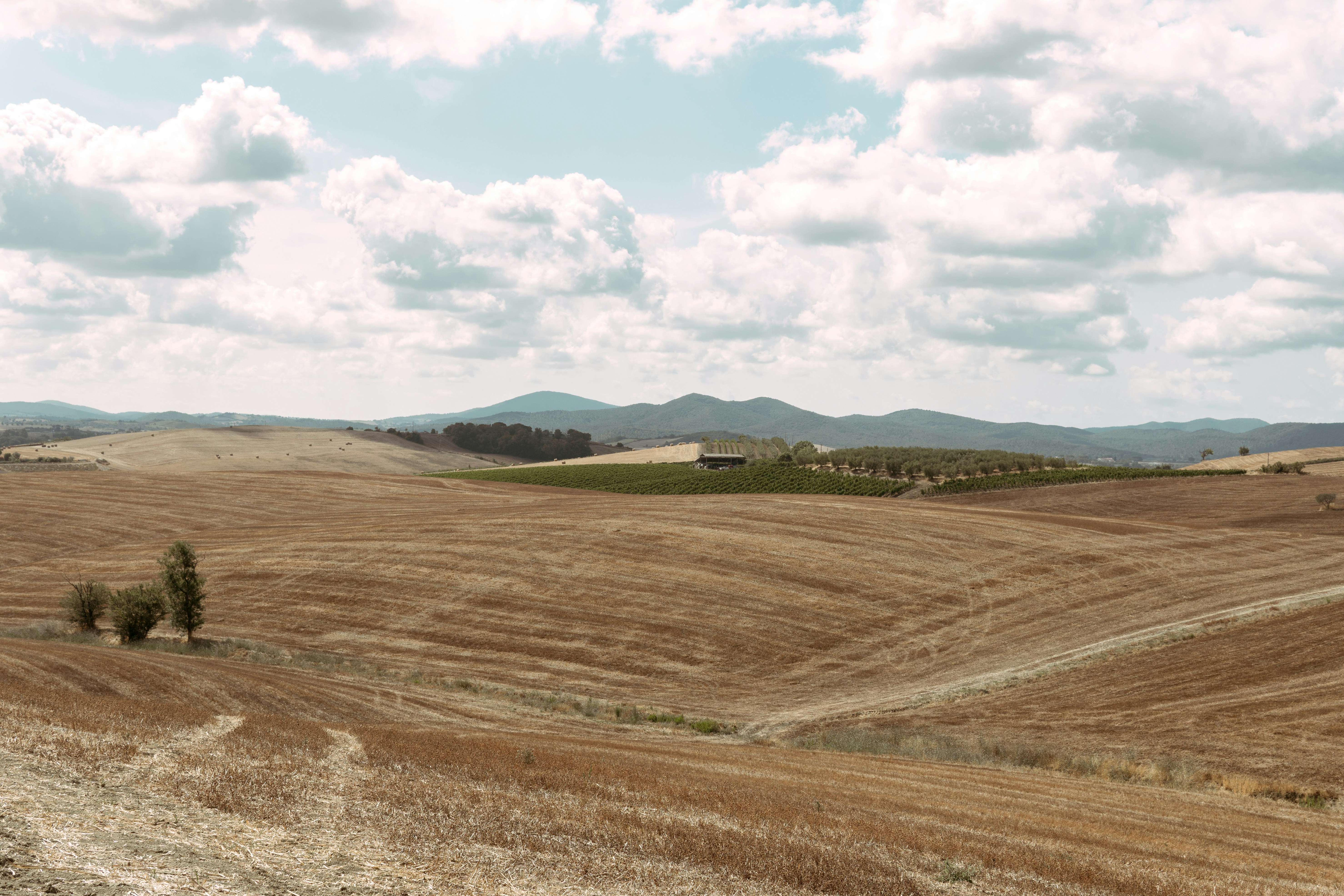 Photo by alessandrocavestro_