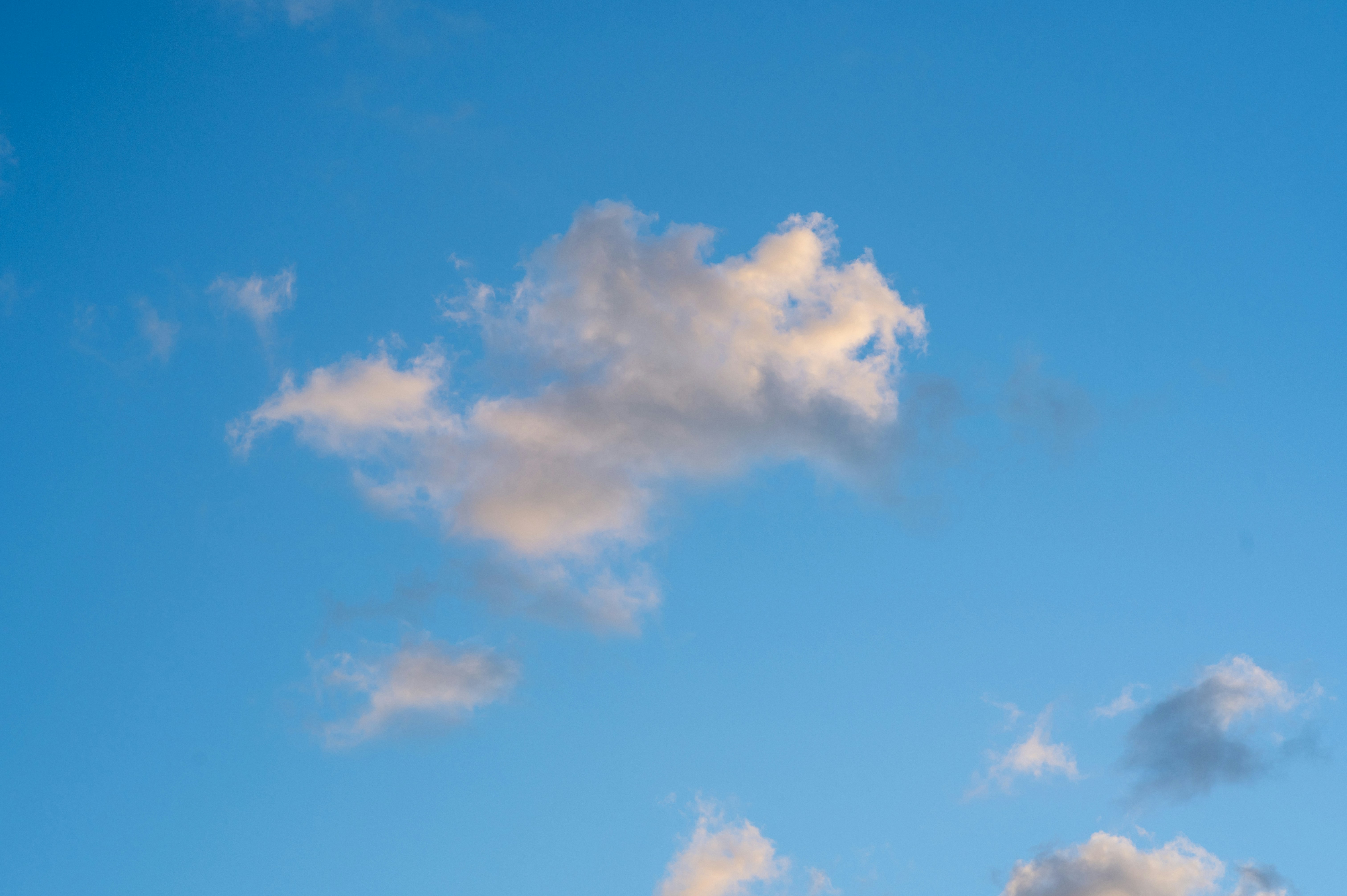 Photo by thelasttime