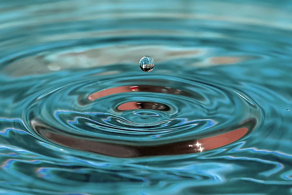 water drop on body of water