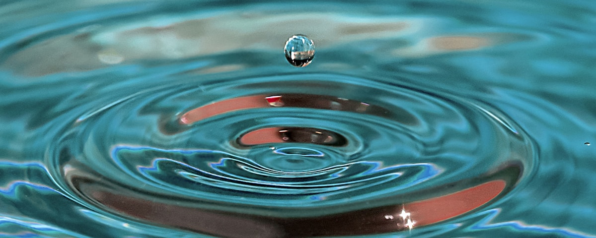 water drop on body of water