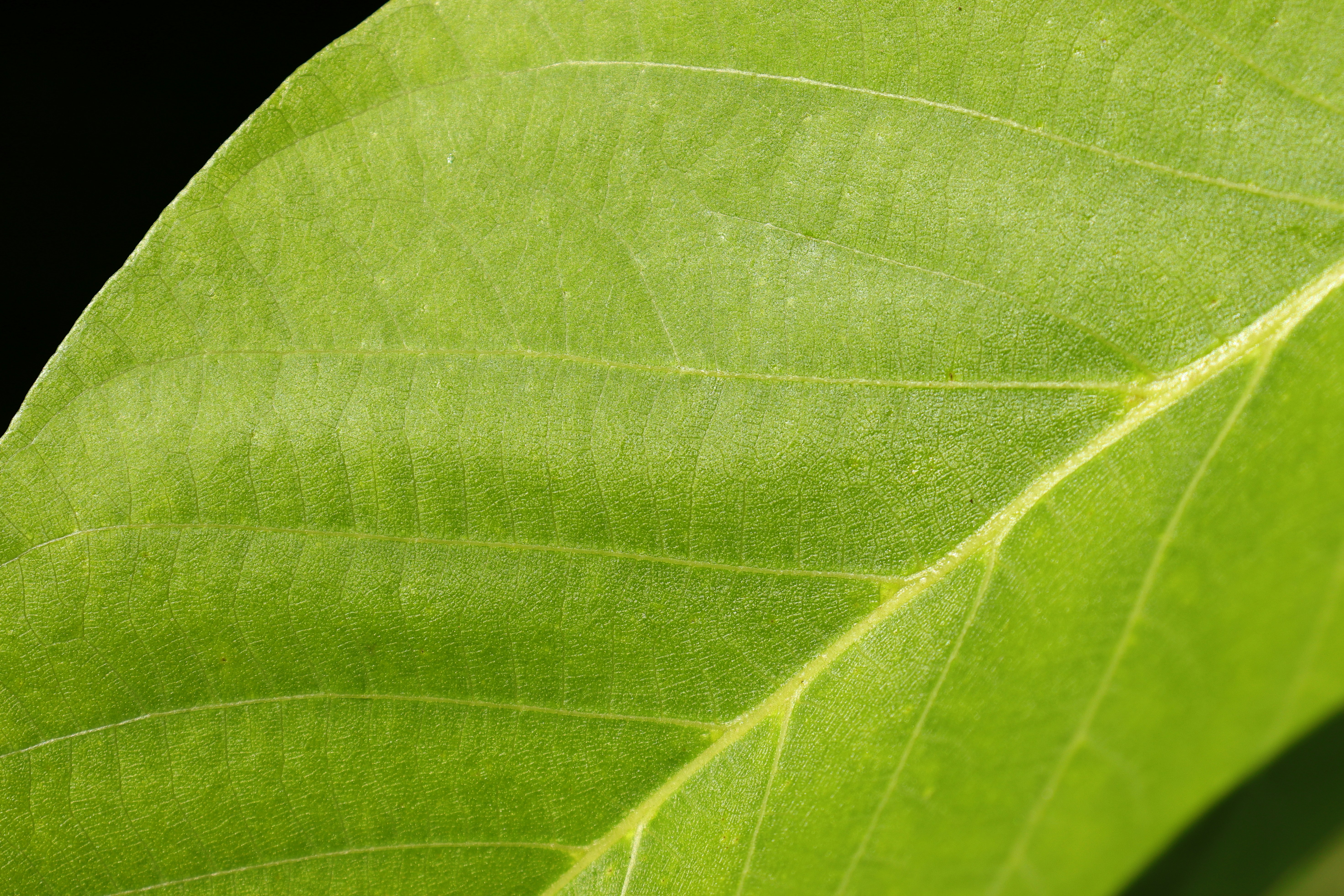 Photo by pokornymichal