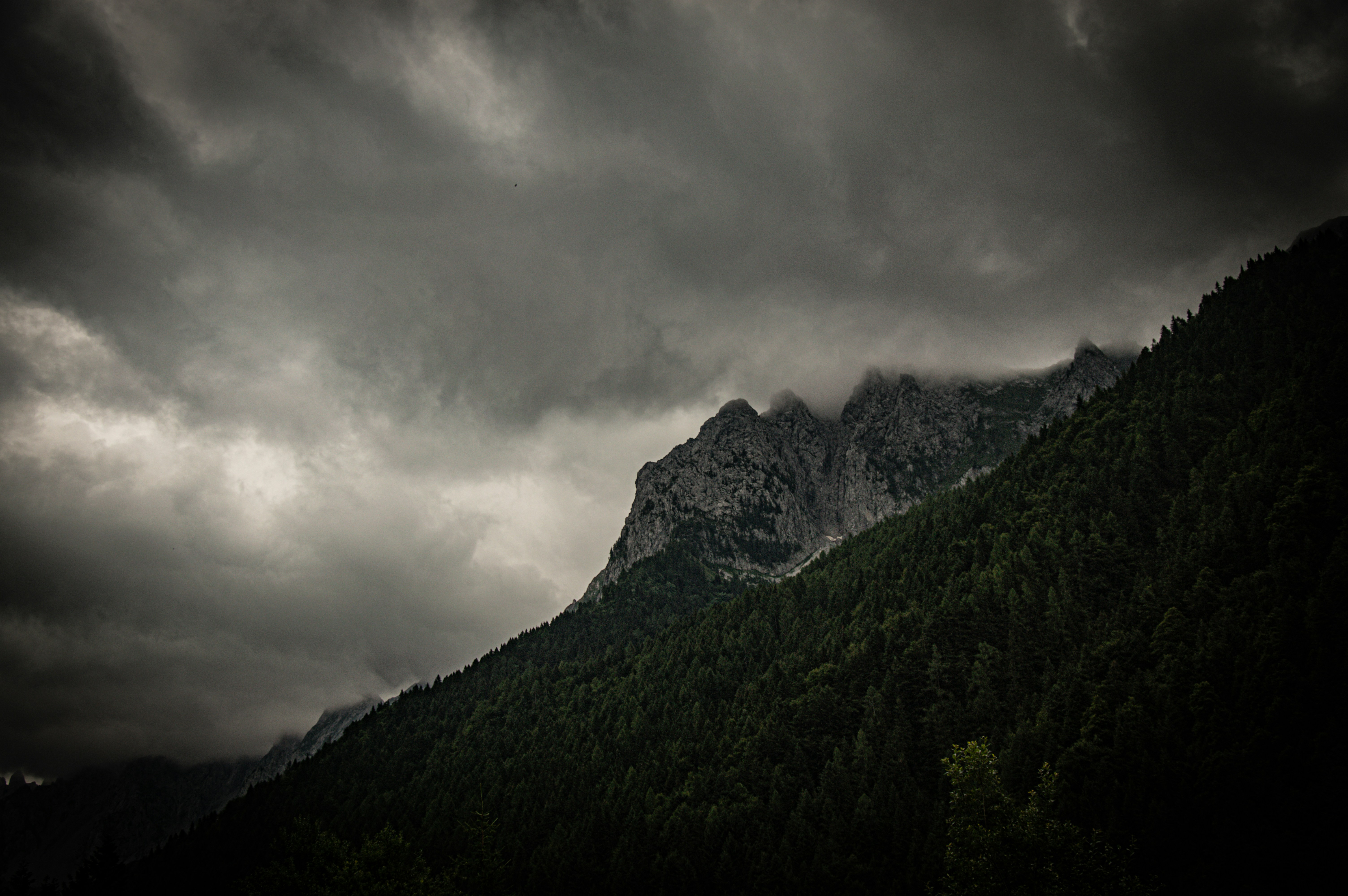 Photo by design_maffeisluca