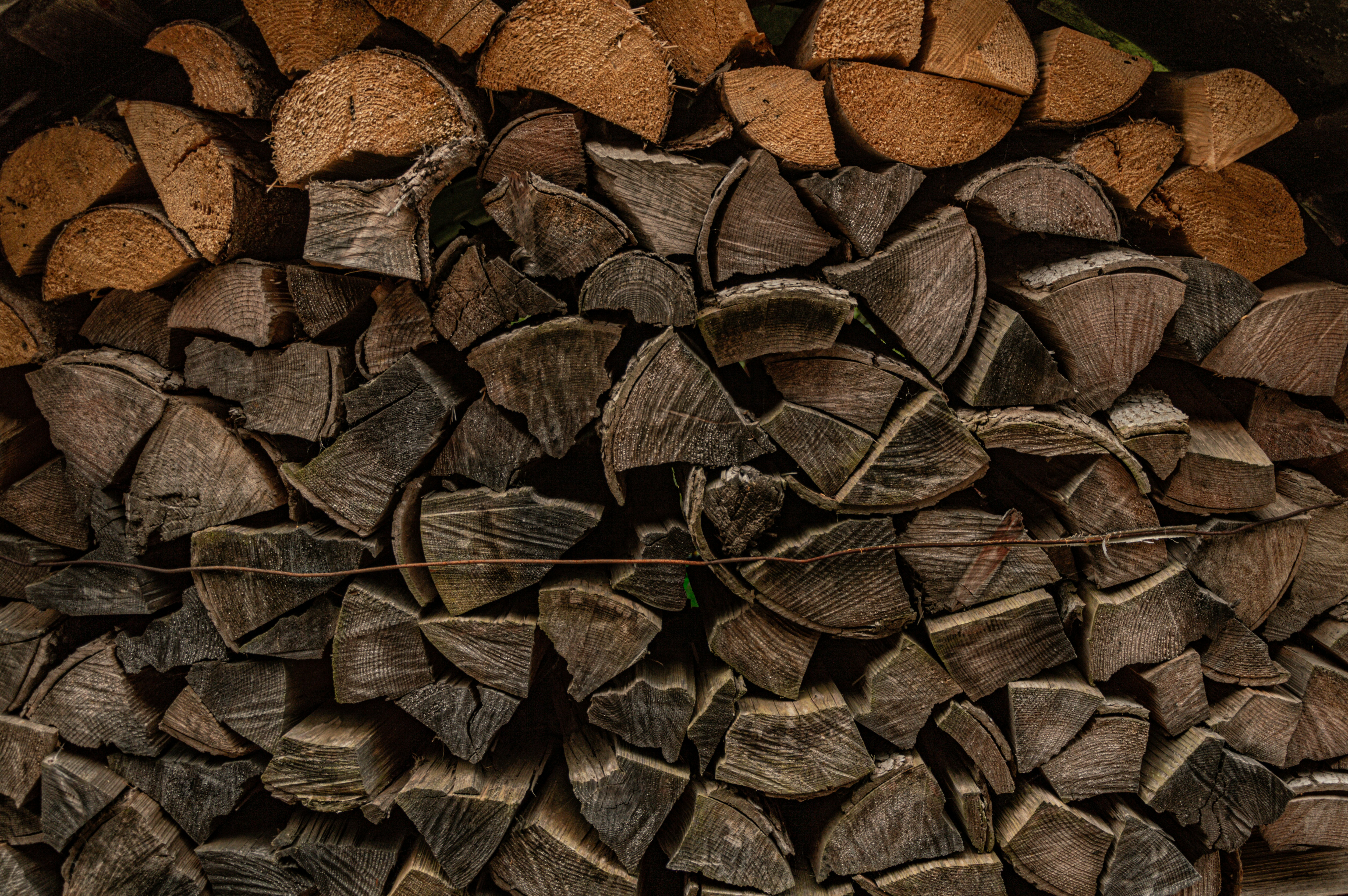 Photo by design_maffeisluca