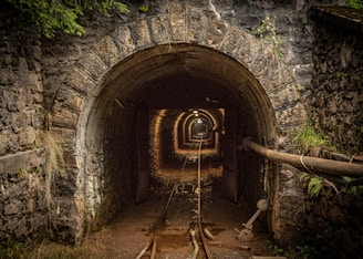 brown wooden ladder on tunnel