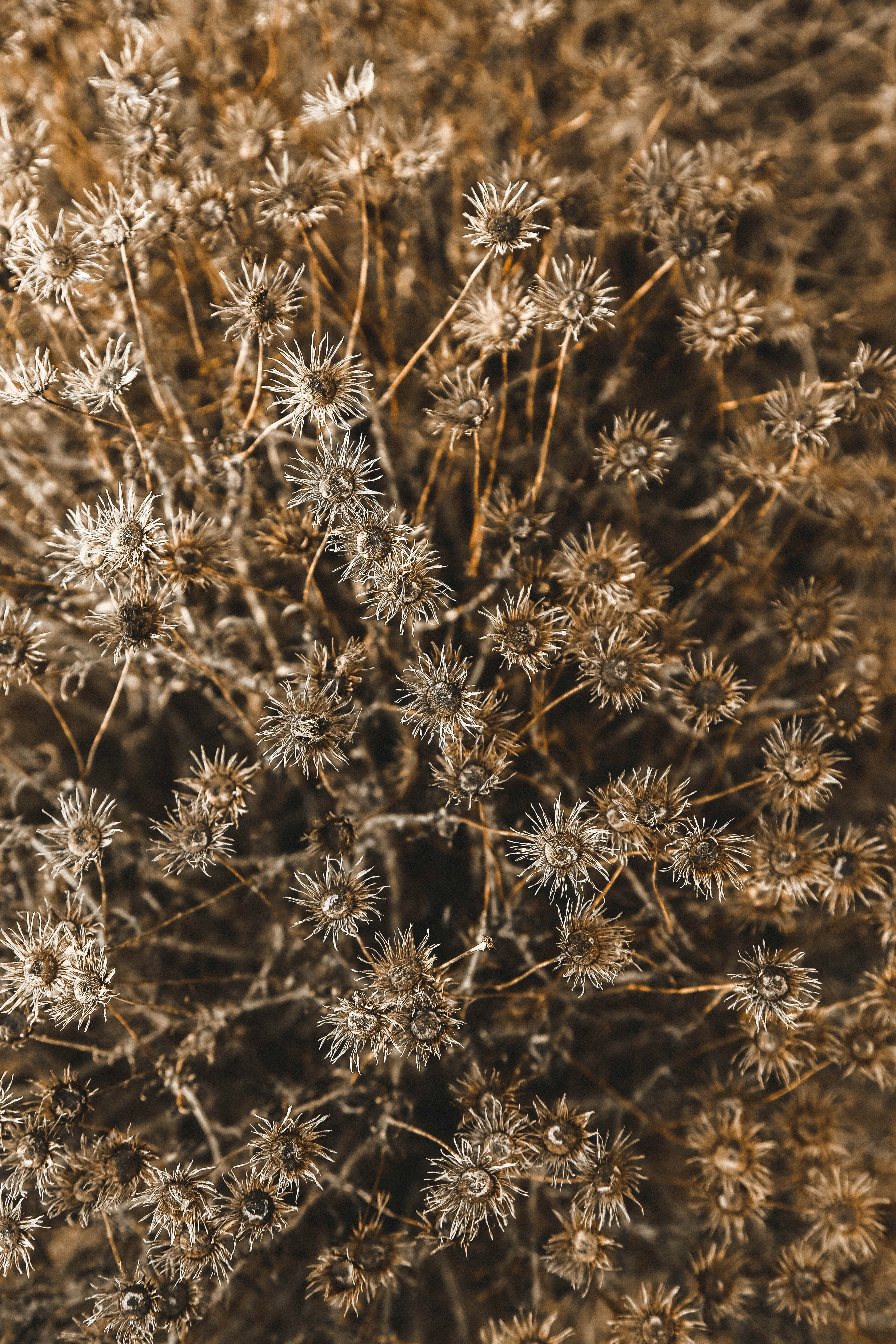 Photo by graphicnode