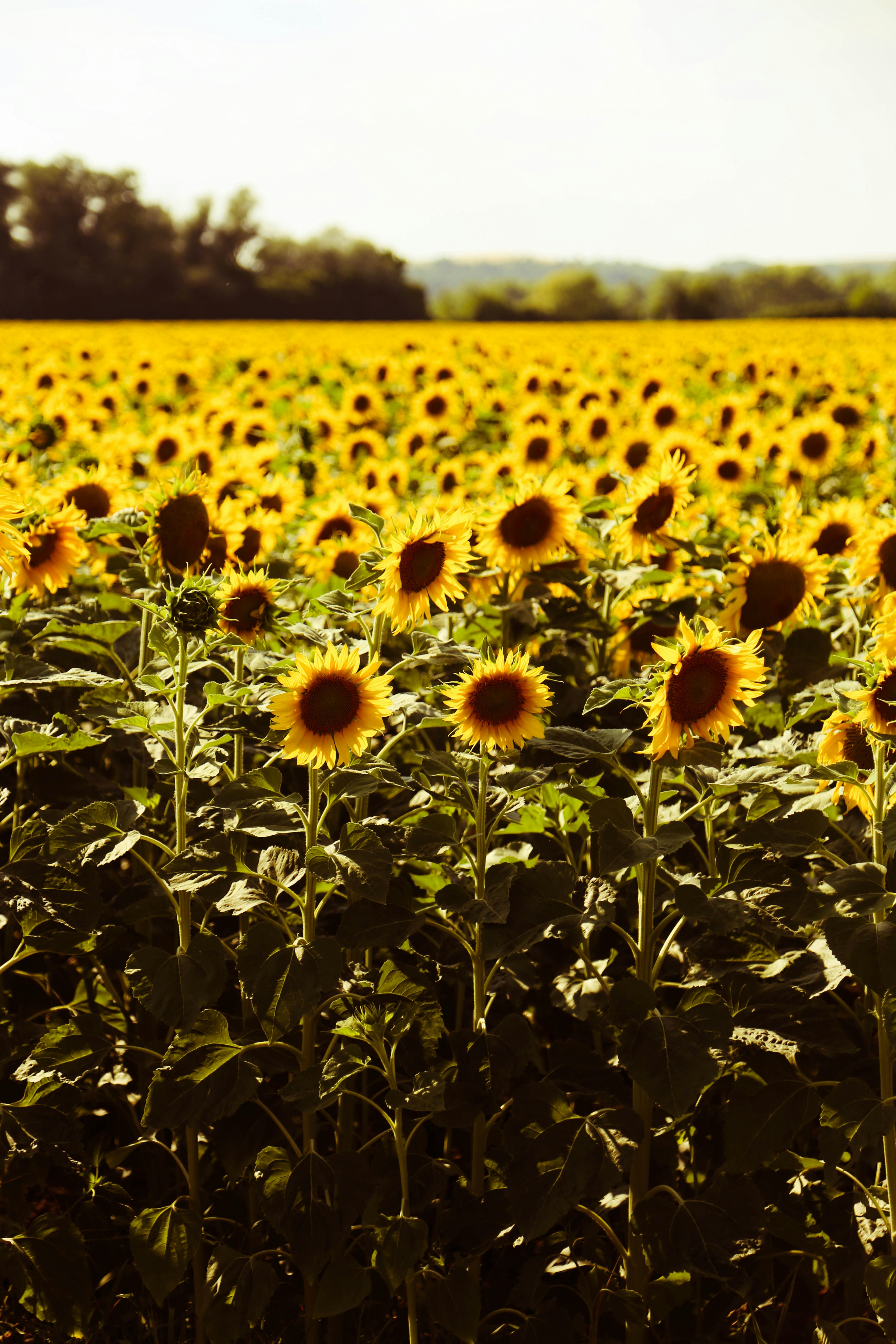 Photo by graphicnode