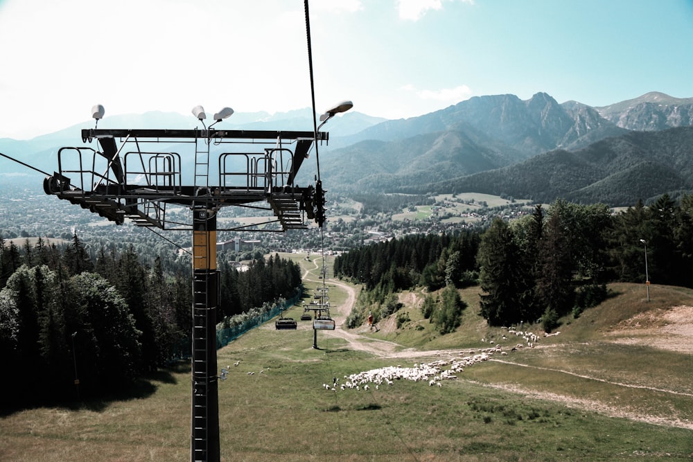 cable cars over green grass field near green trees and mountains during daytime