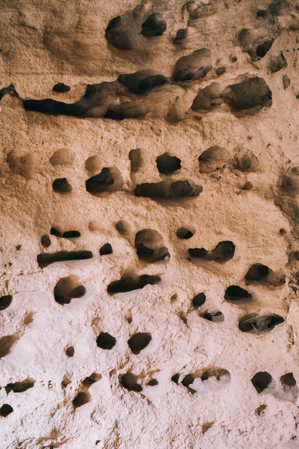 brown rocks on brown sand