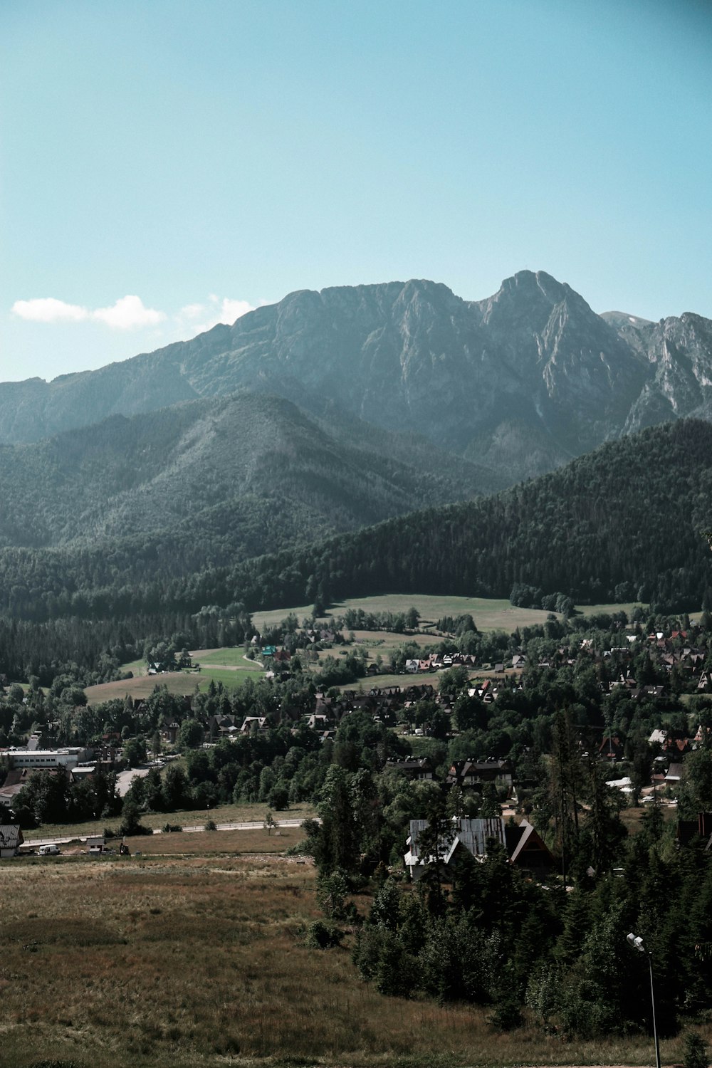 green trees and mountain under blue sky during daytime