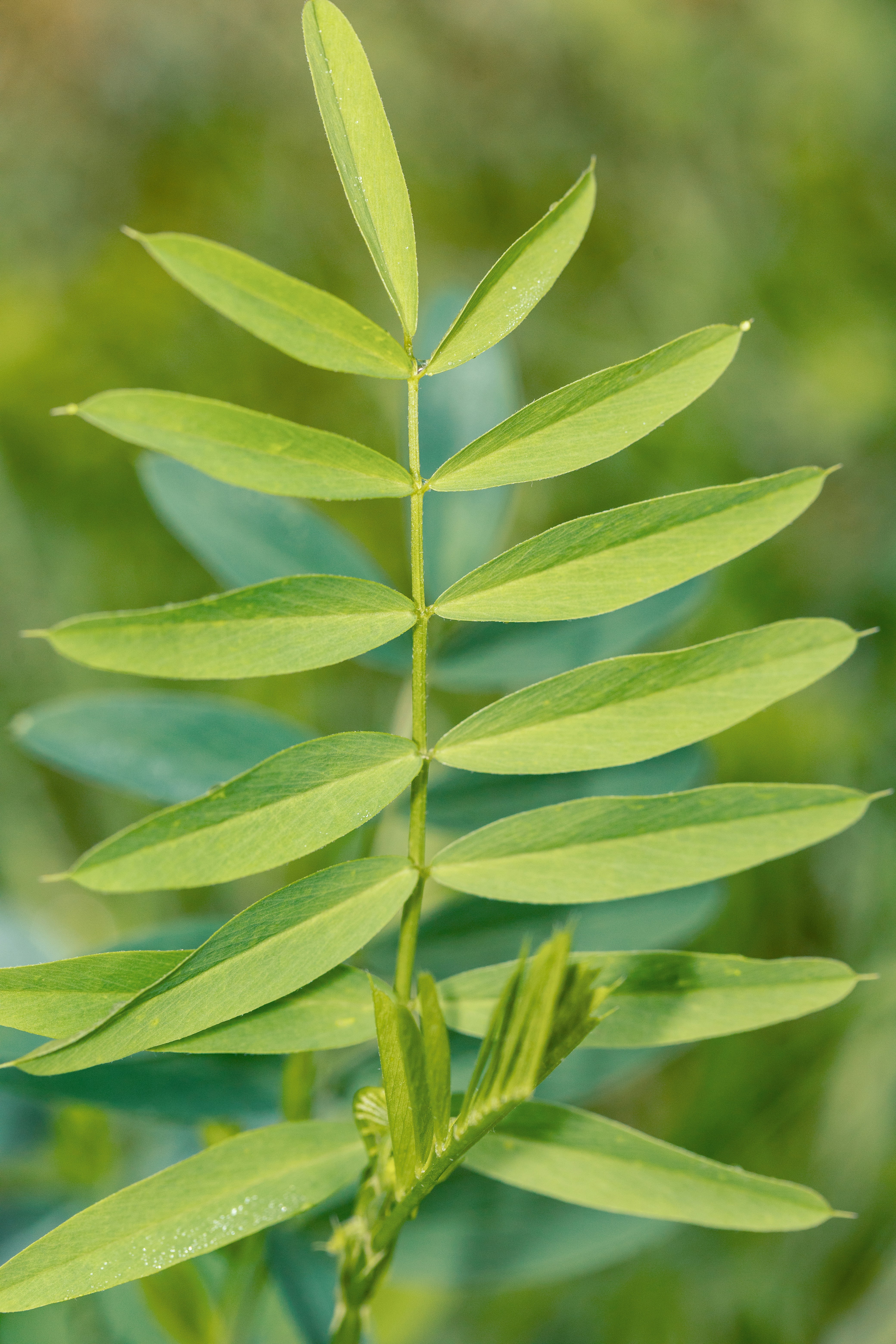 Photo by grievek1610begur