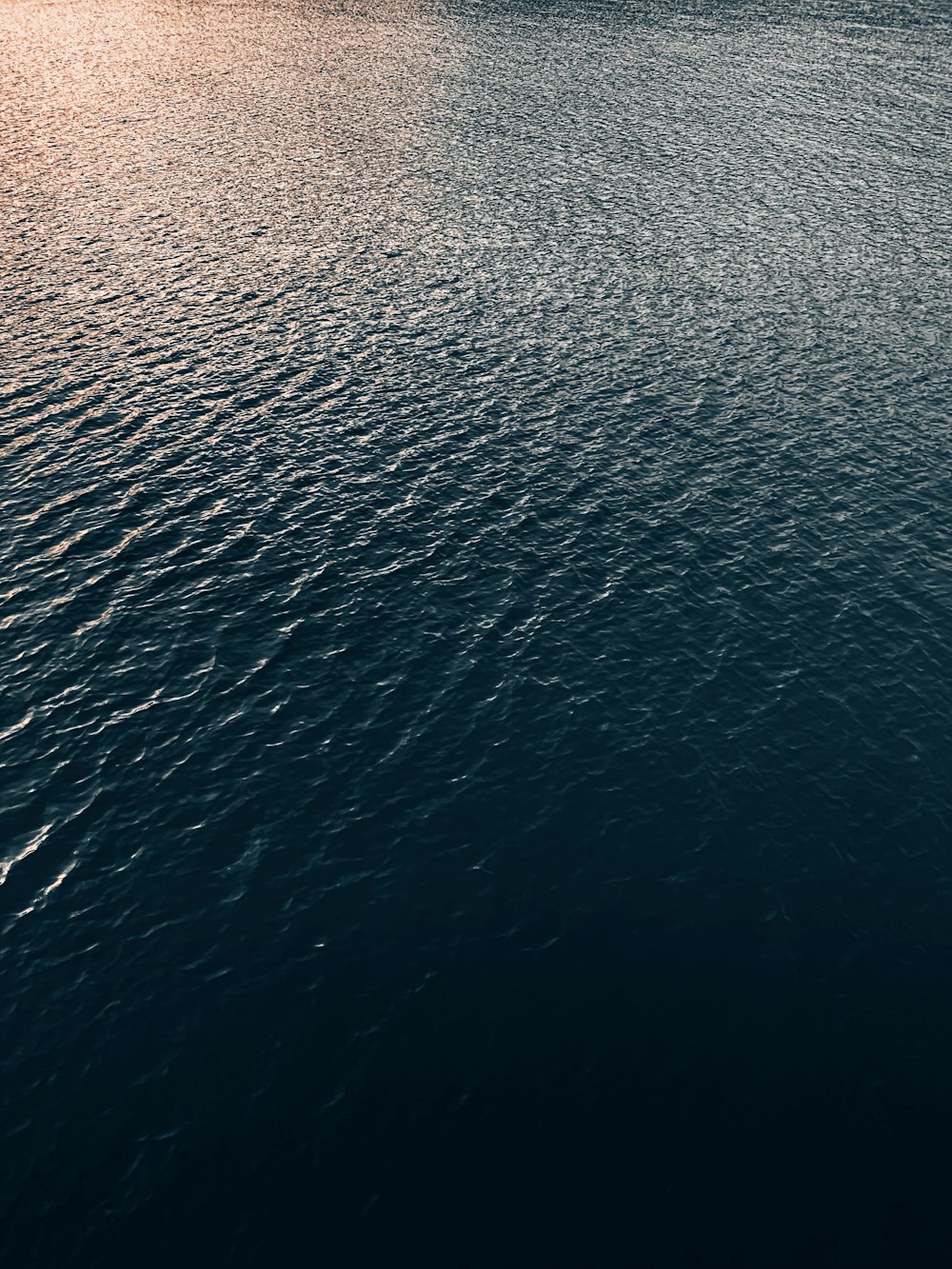 日中の水域