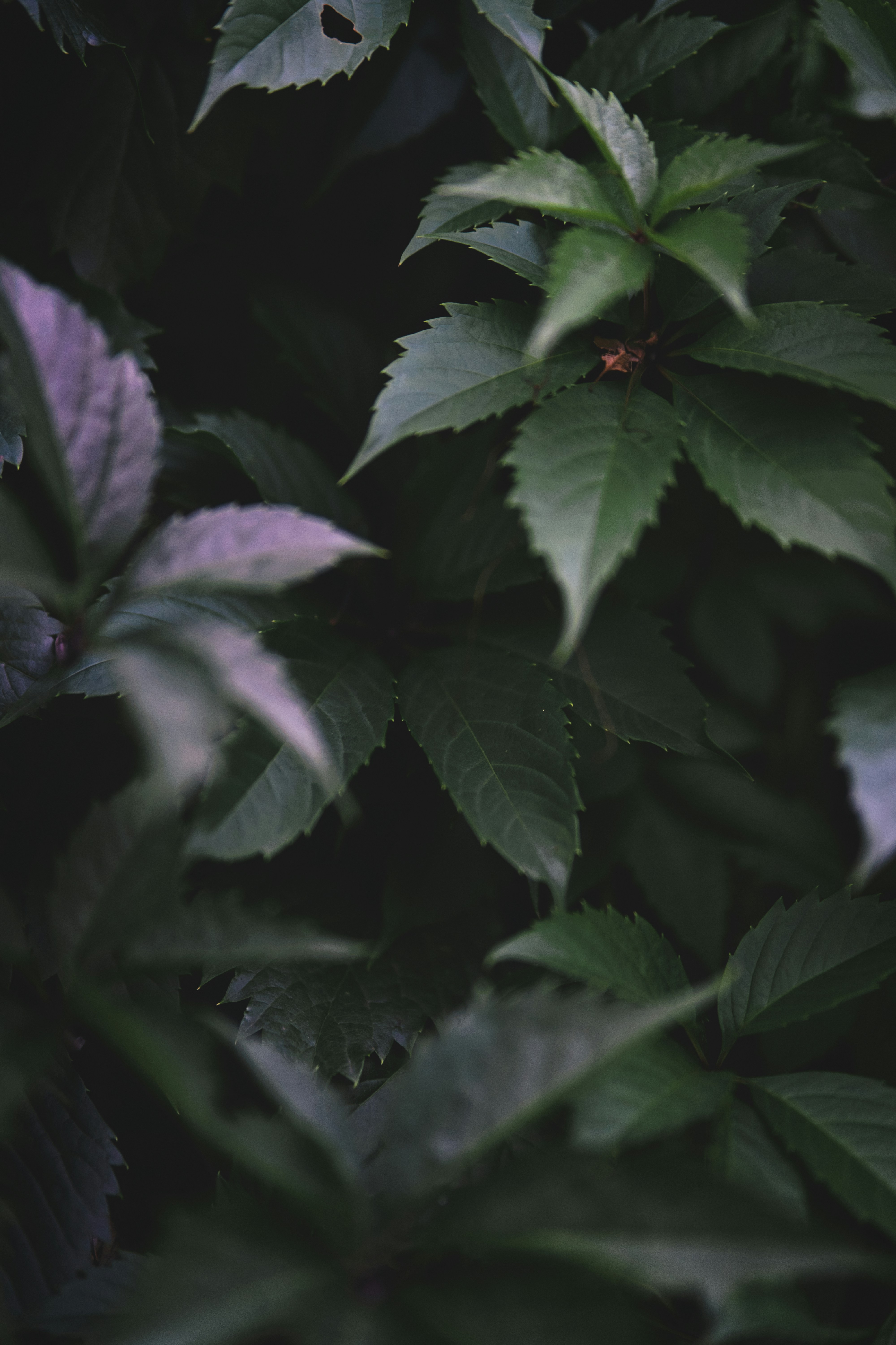 Photo by eugenechystiakov