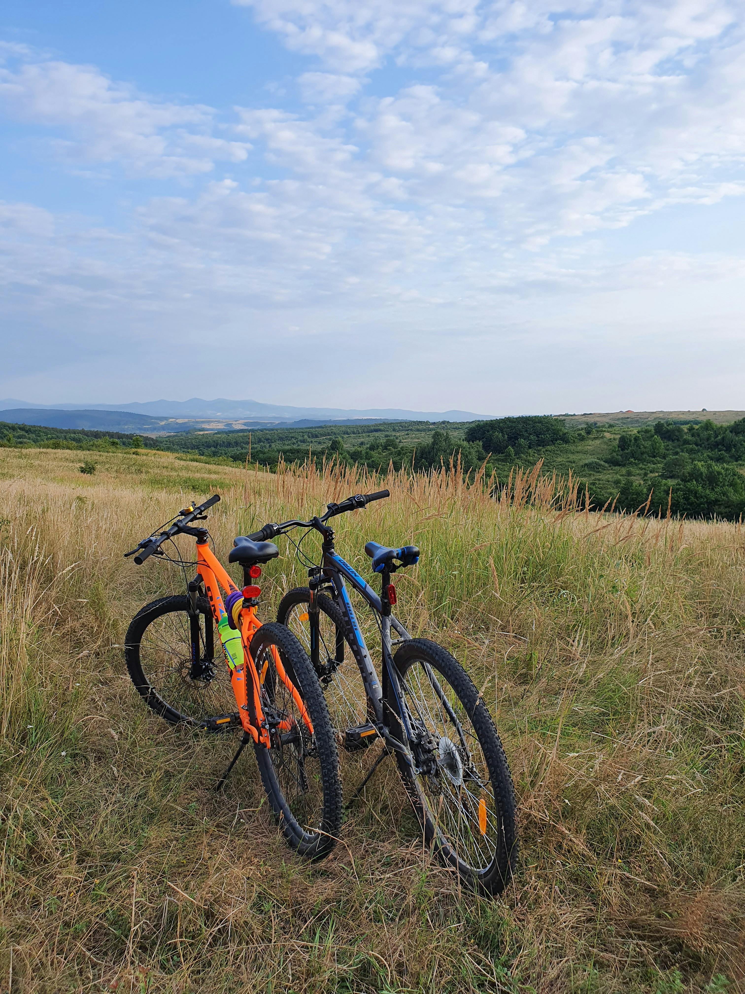 black and orange hardtail mountain bike on green grass field under white clouds during daytime