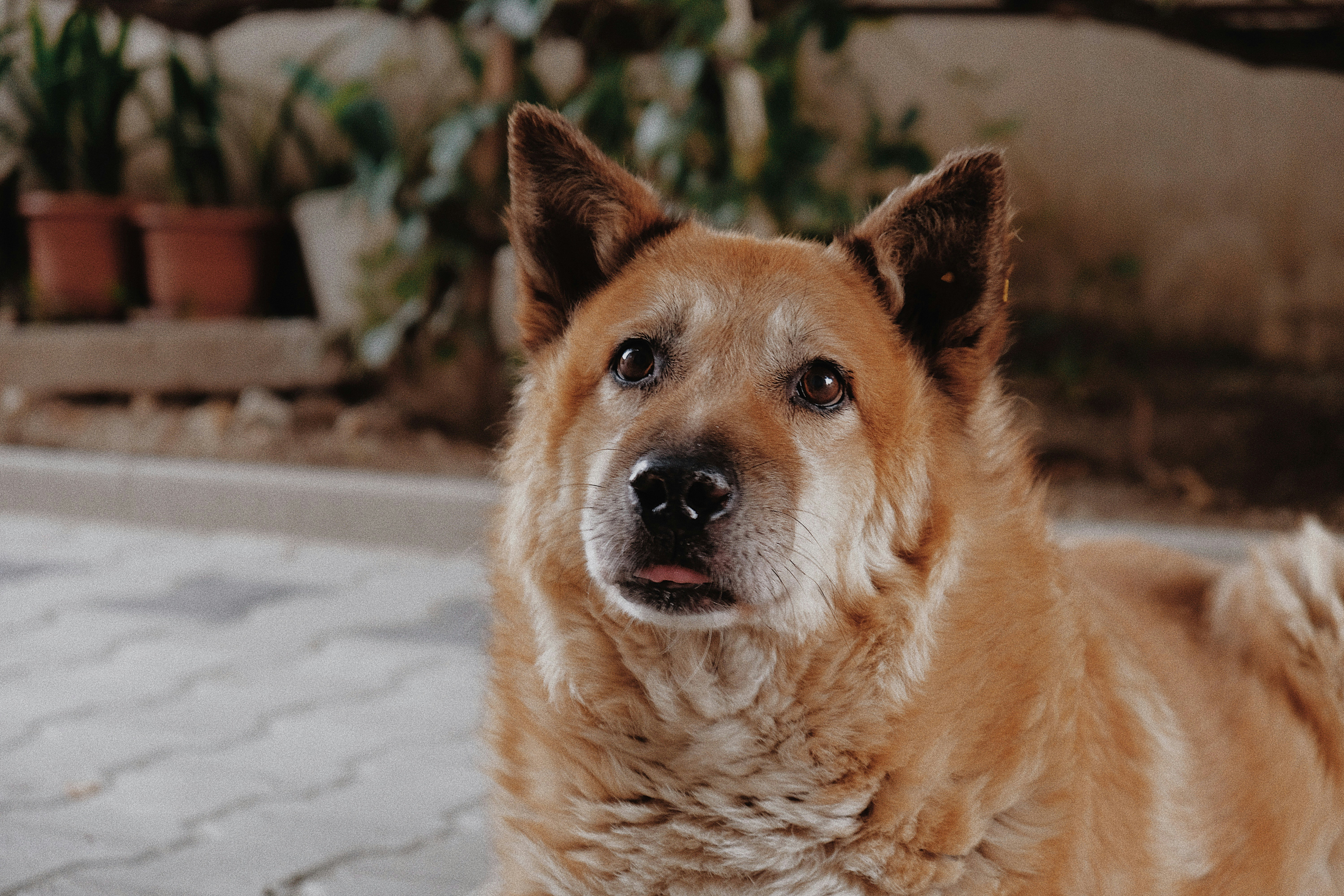 Photo by isabeladrasovean