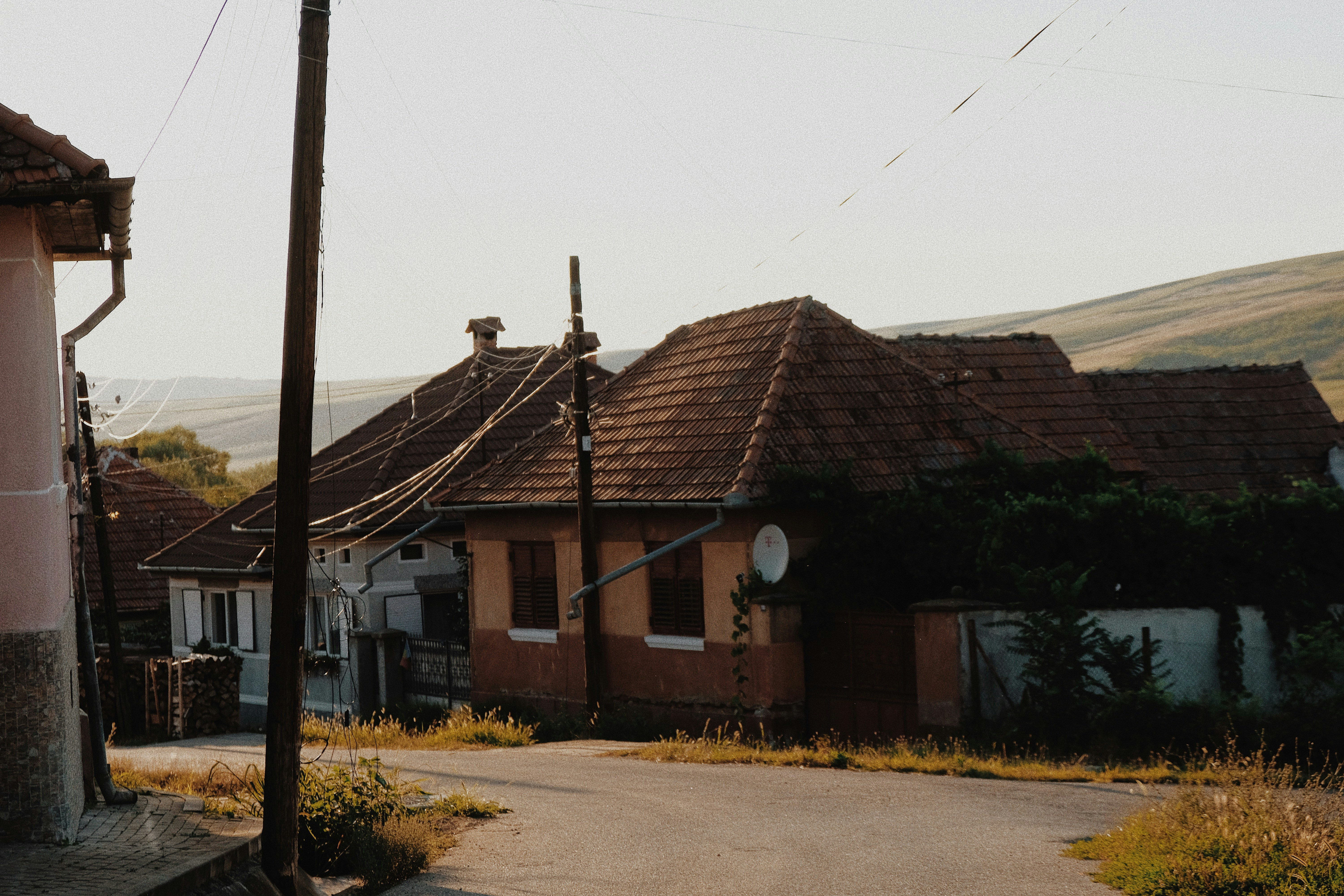 Photo by isabeladrasovean