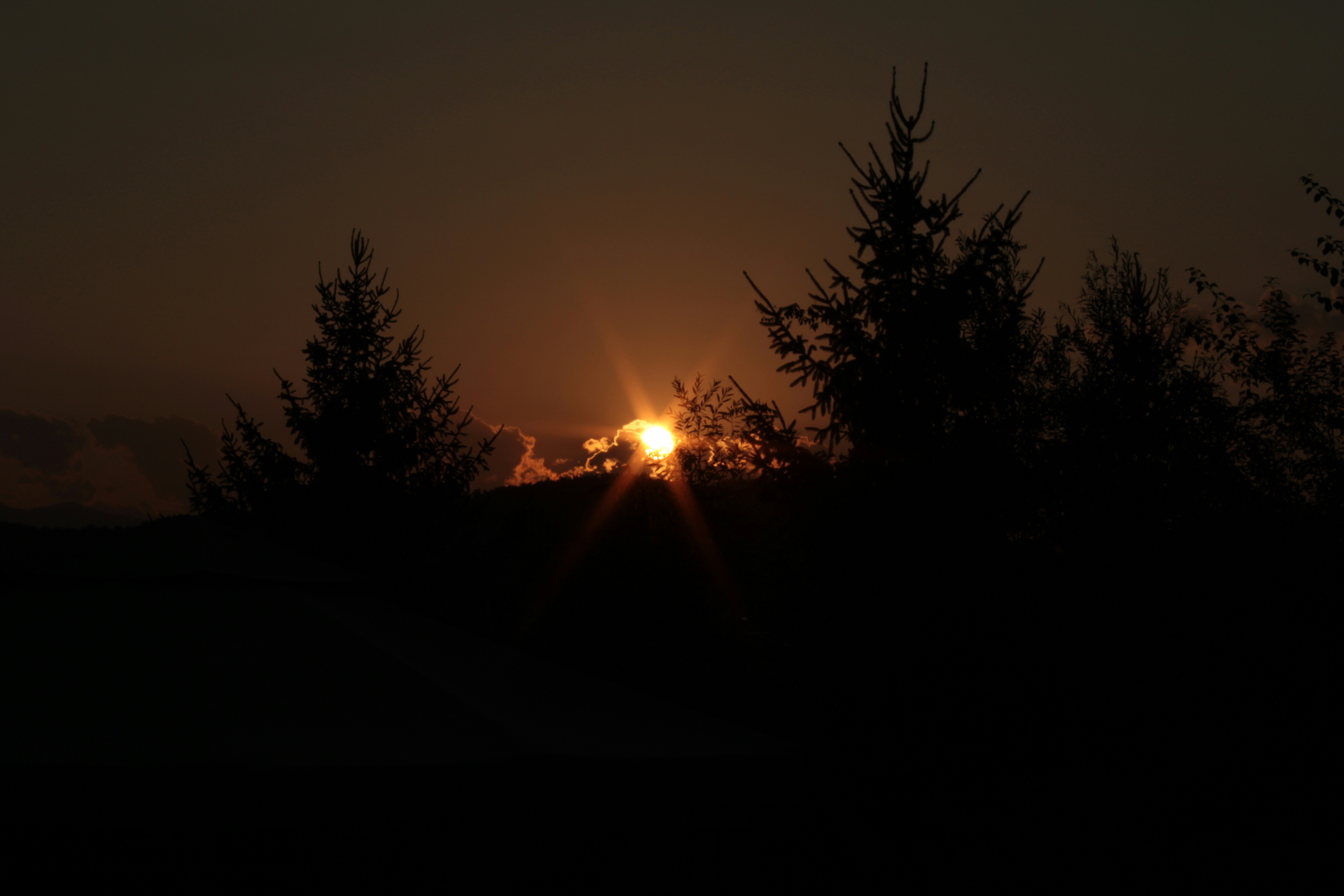 Photo by photography_byklemen