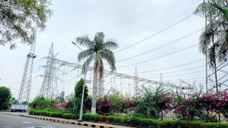 Tall electrical transmission towers and power lines dominate the scene. A row of lush palm trees and vibrant flowering bushes line the foreground, adding contrast to the industrial structures. The sky appears overcast, indicating a cloudy day.