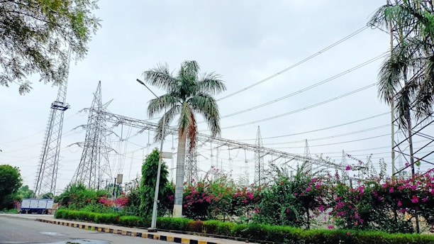 Tall electrical transmission towers and power lines dominate the scene. A row of lush palm trees and vibrant flowering bushes line the foreground, adding contrast to the industrial structures. The sky appears overcast, indicating a cloudy day.