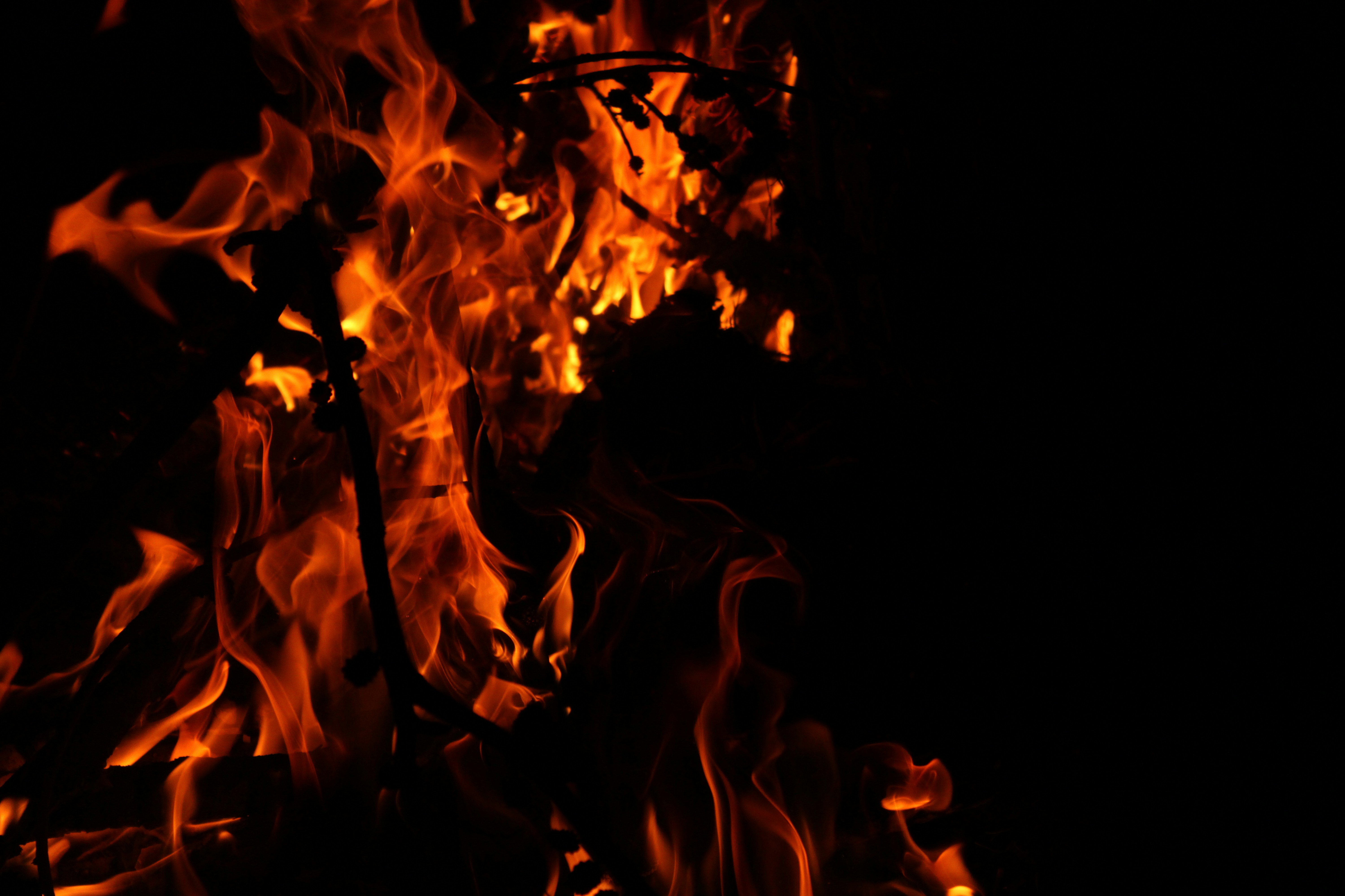 Photo by johan_04reyes