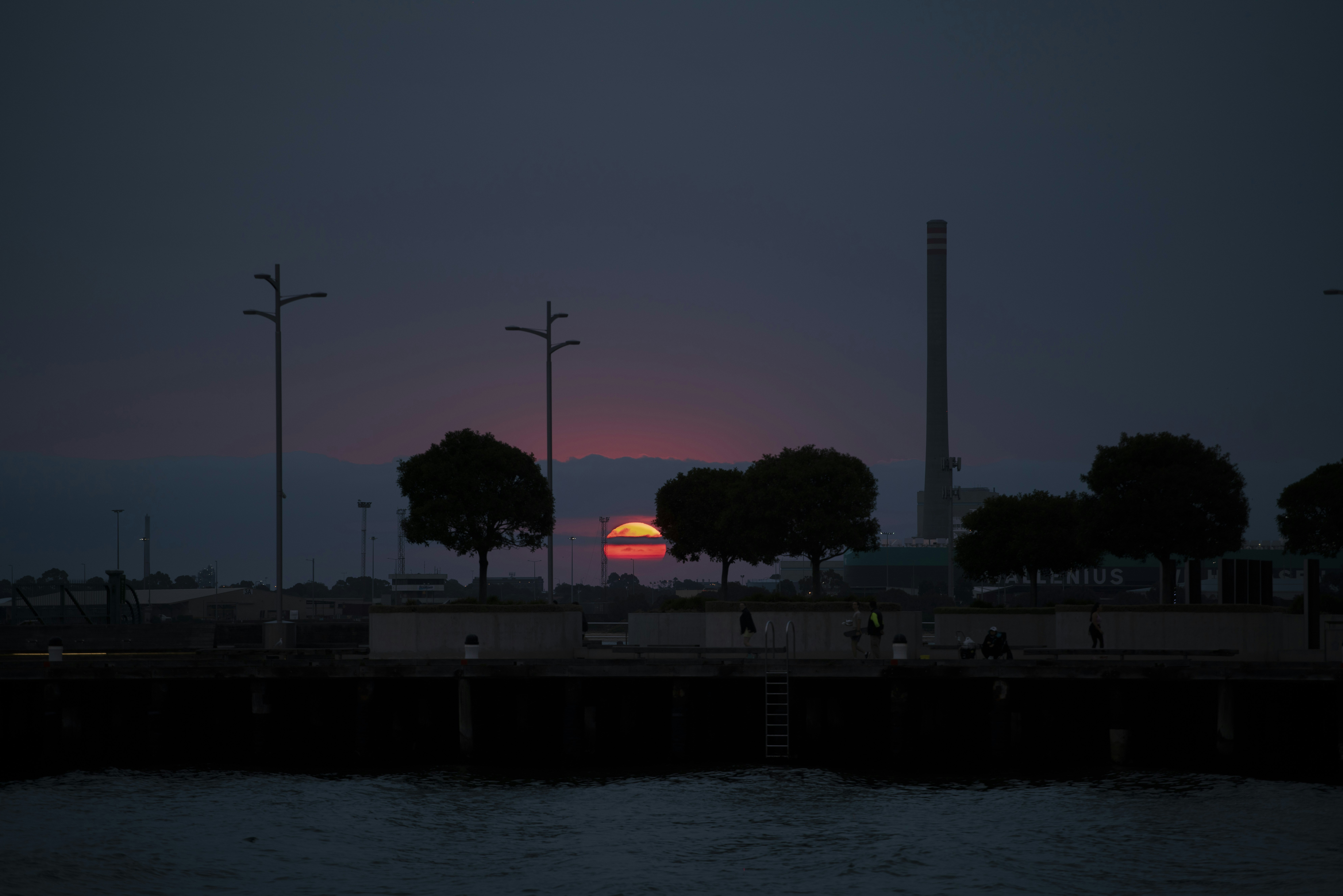 silhouette of trees near body of water during night time