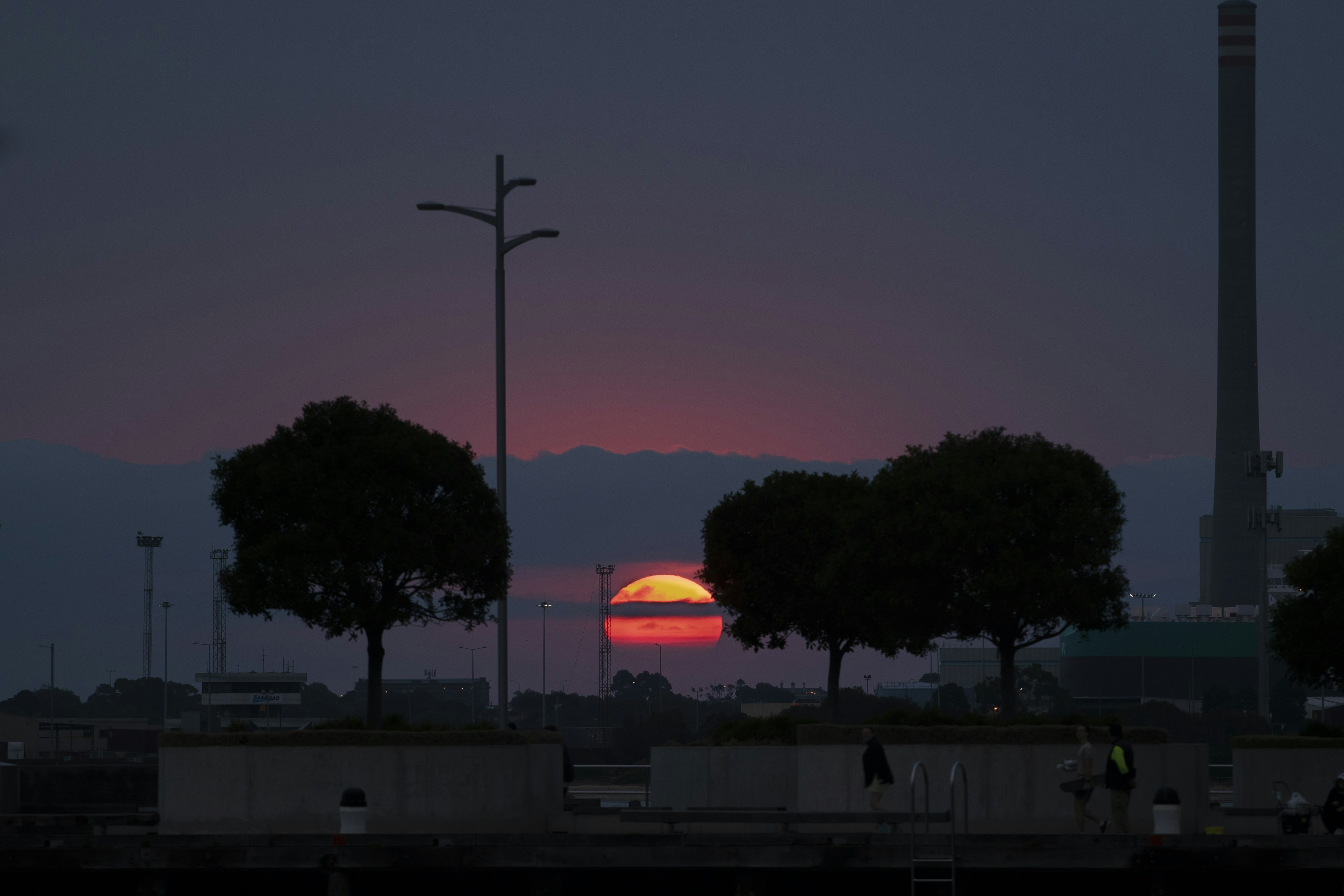 silhouette of trees during sunset