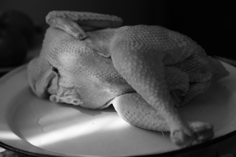 gray scale photo of animal skull