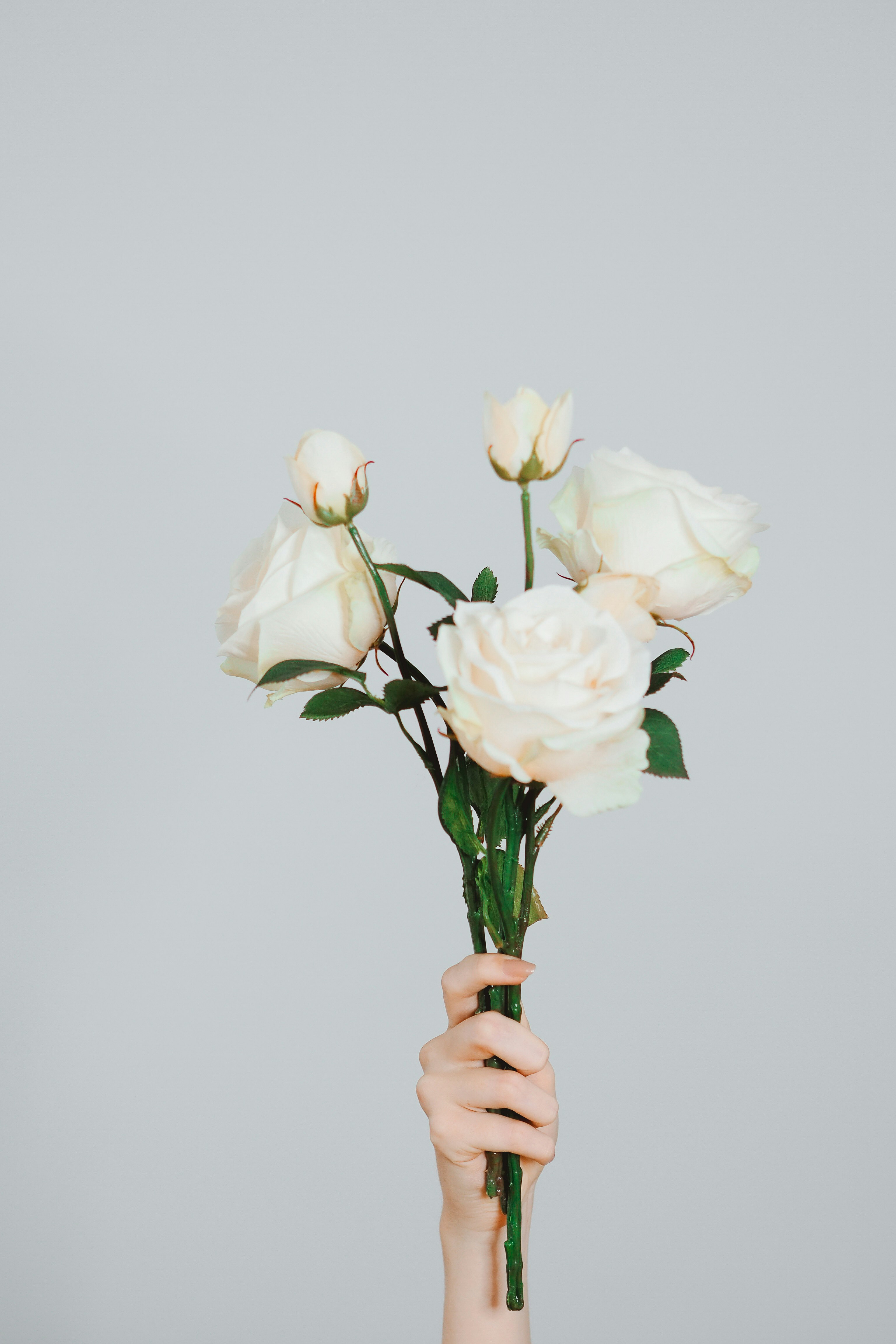 Photo by laurachouette