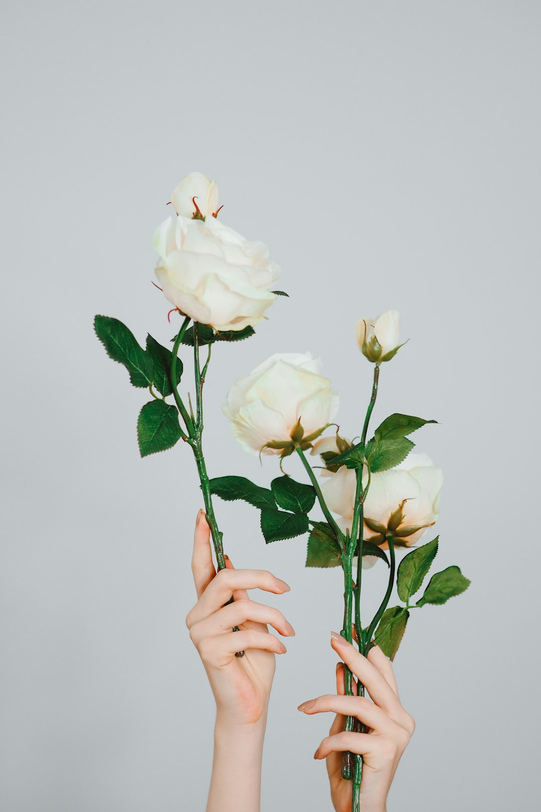 person holding white flower bouquet