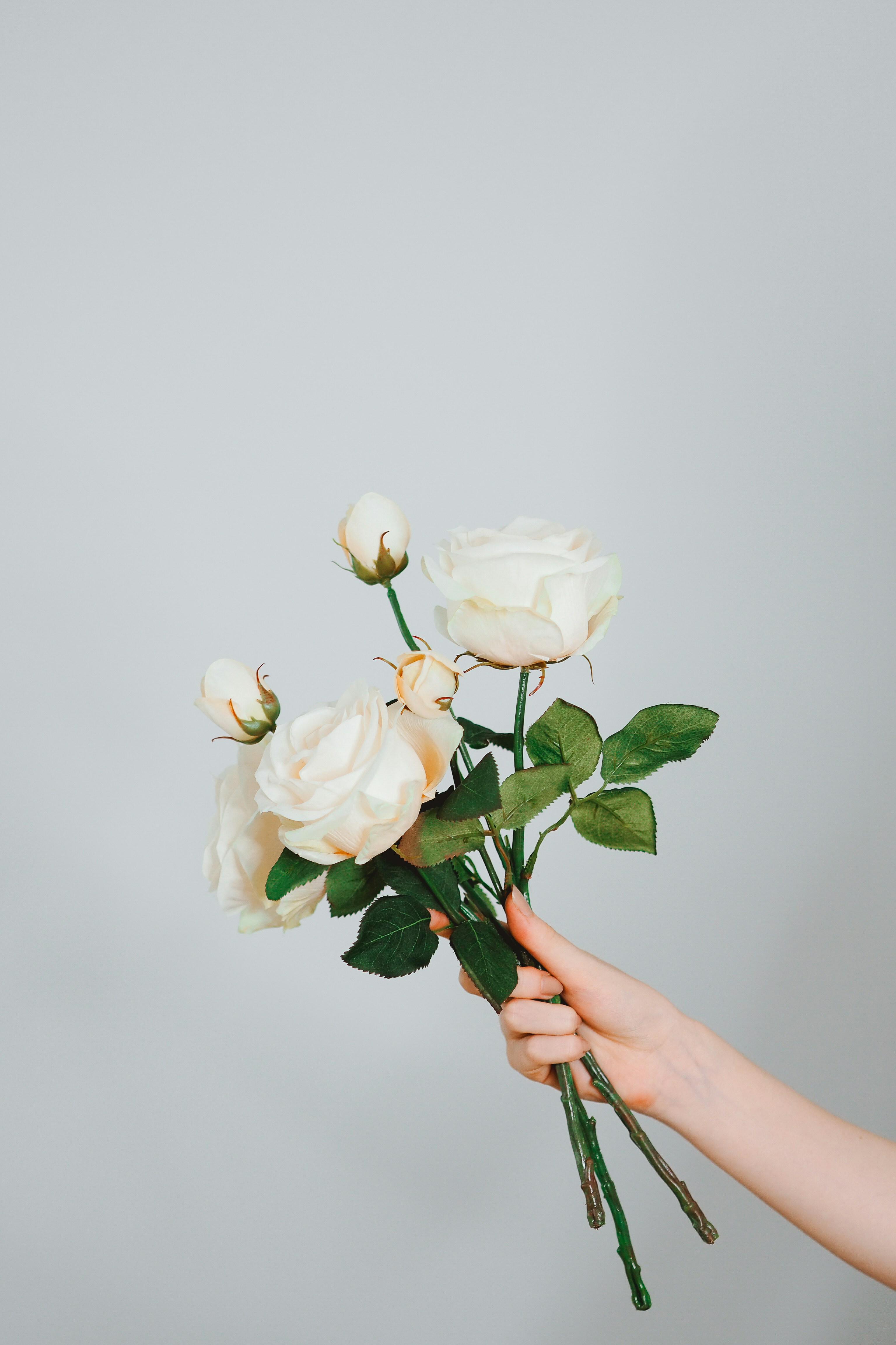 Photo by laurachouette