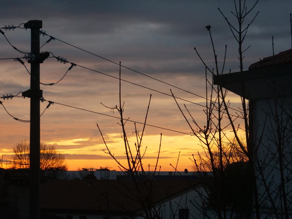 silhouette of electric post during sunset