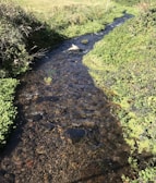 Blue ATV crossing a shallow stream with splashing water and sun rays filtering through the trees.
