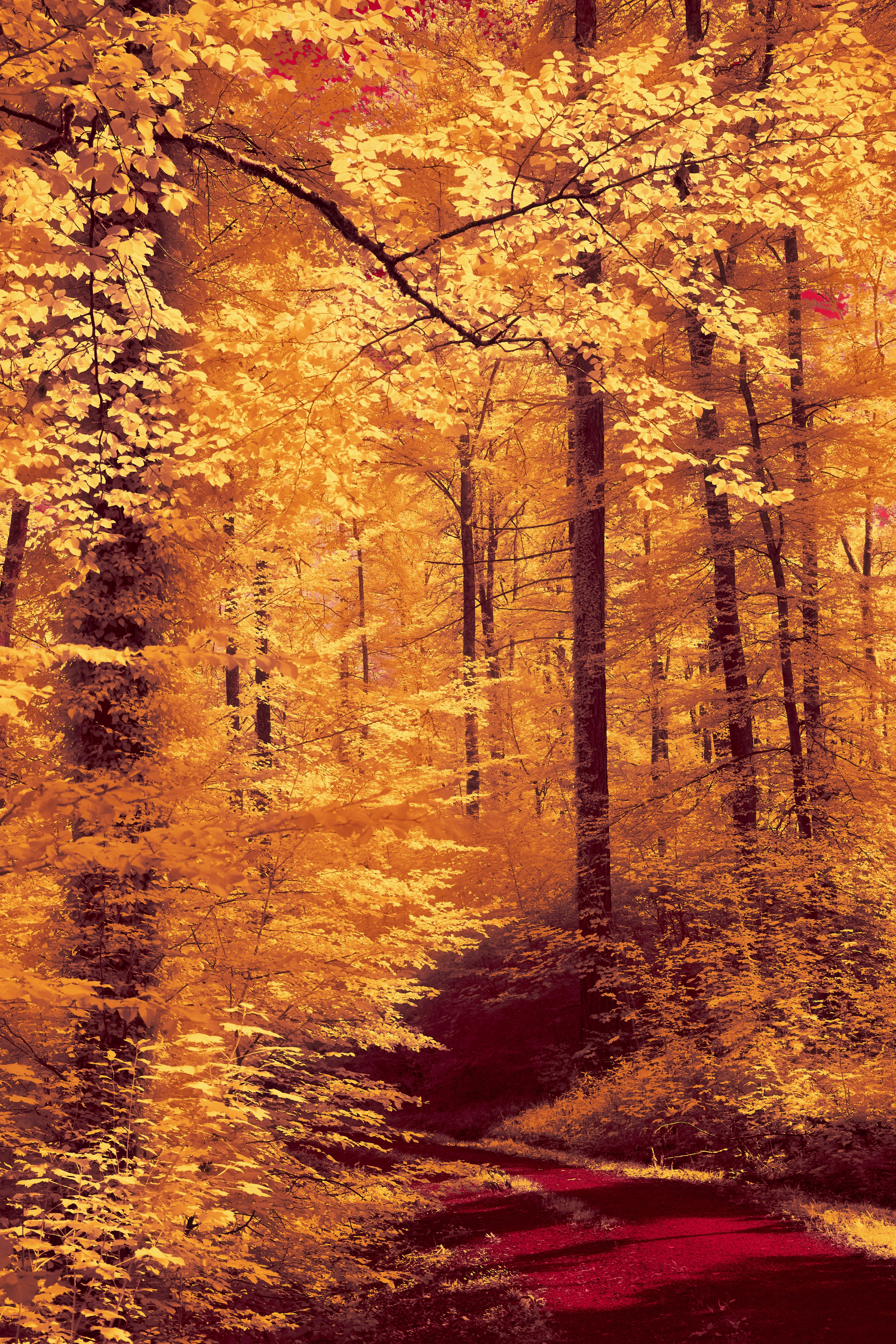 Photo by wolfgang_hasselmann