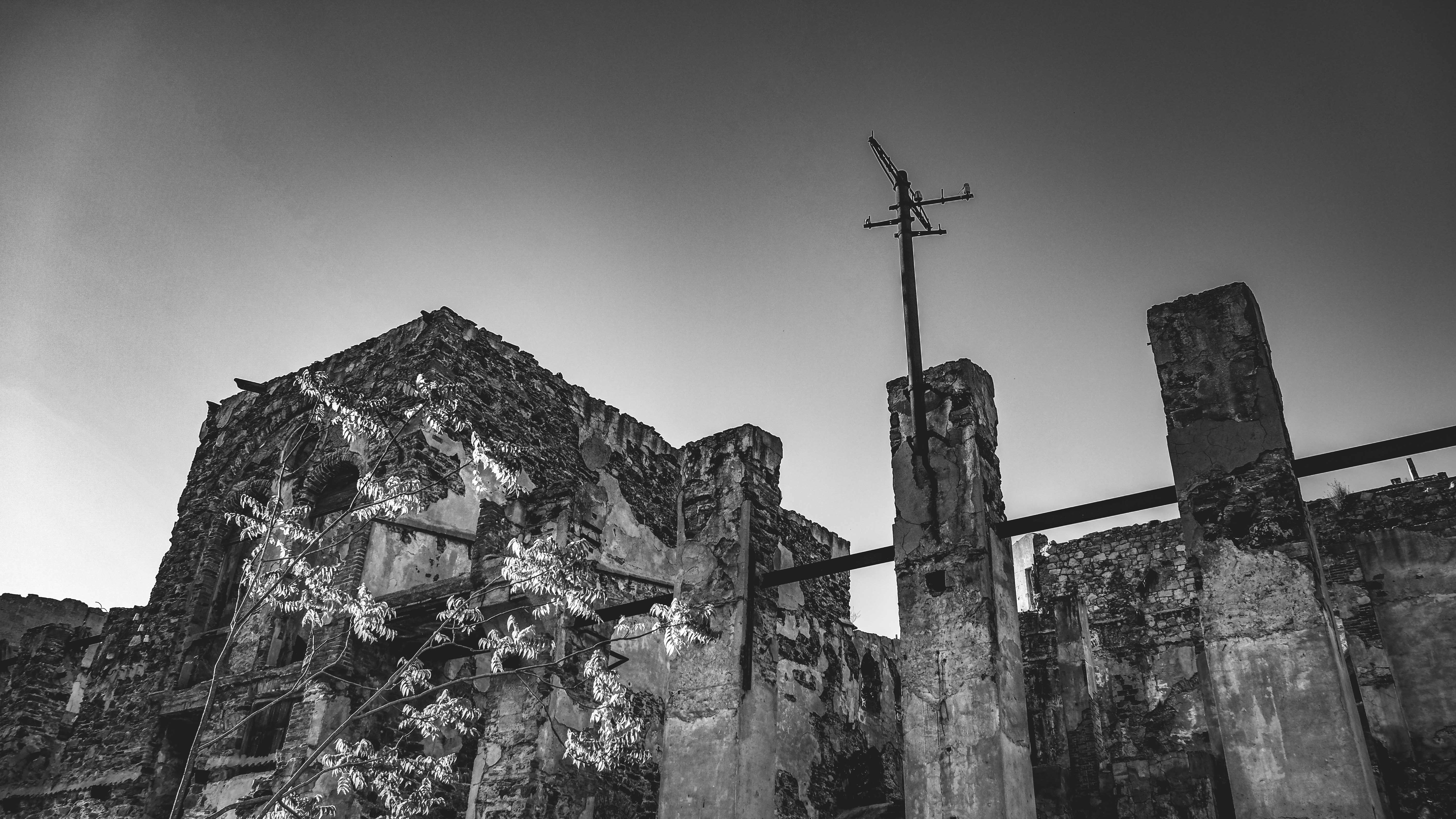 Photo by francesco_ungaro