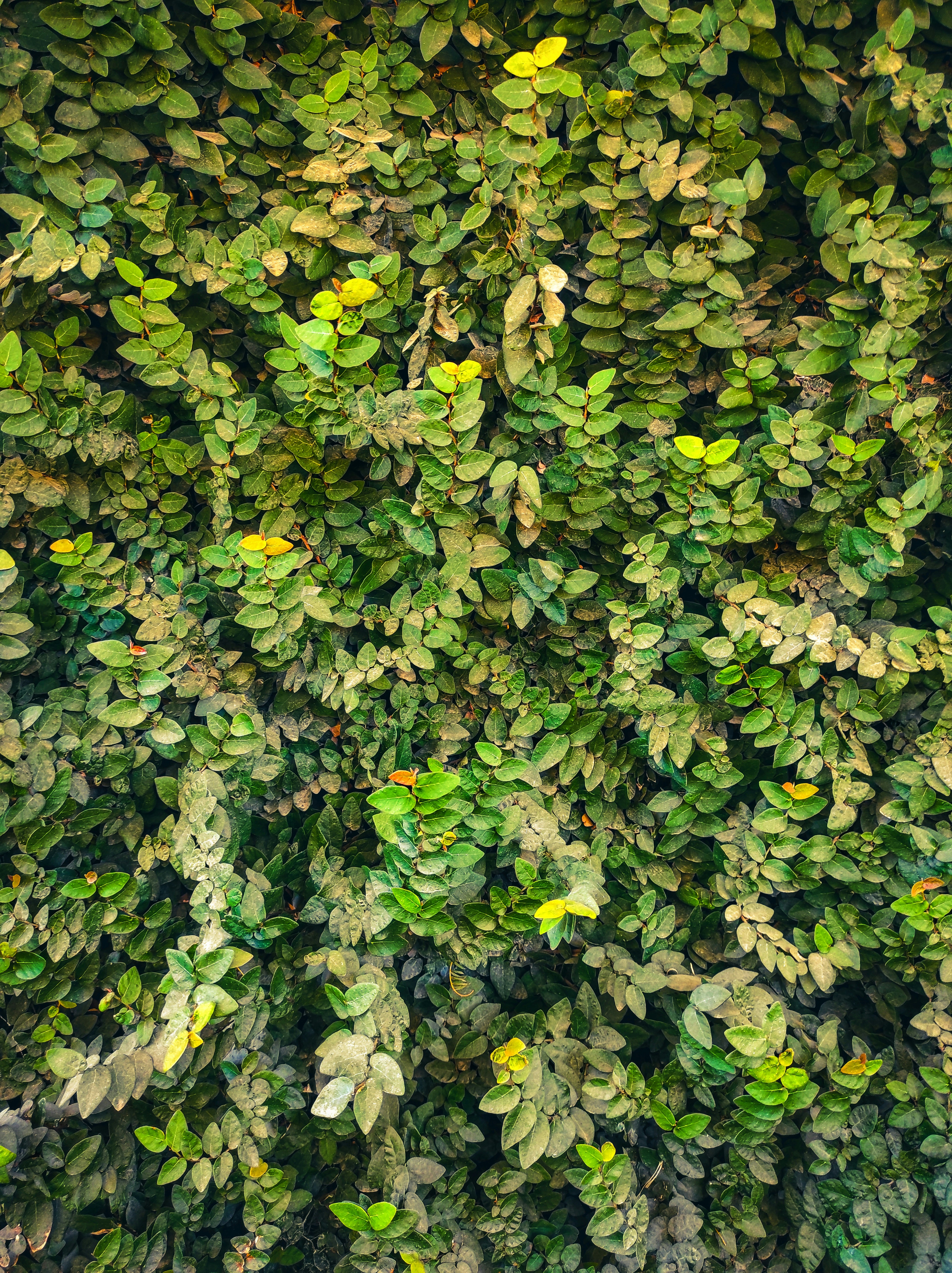 Photo by dannasaracchini