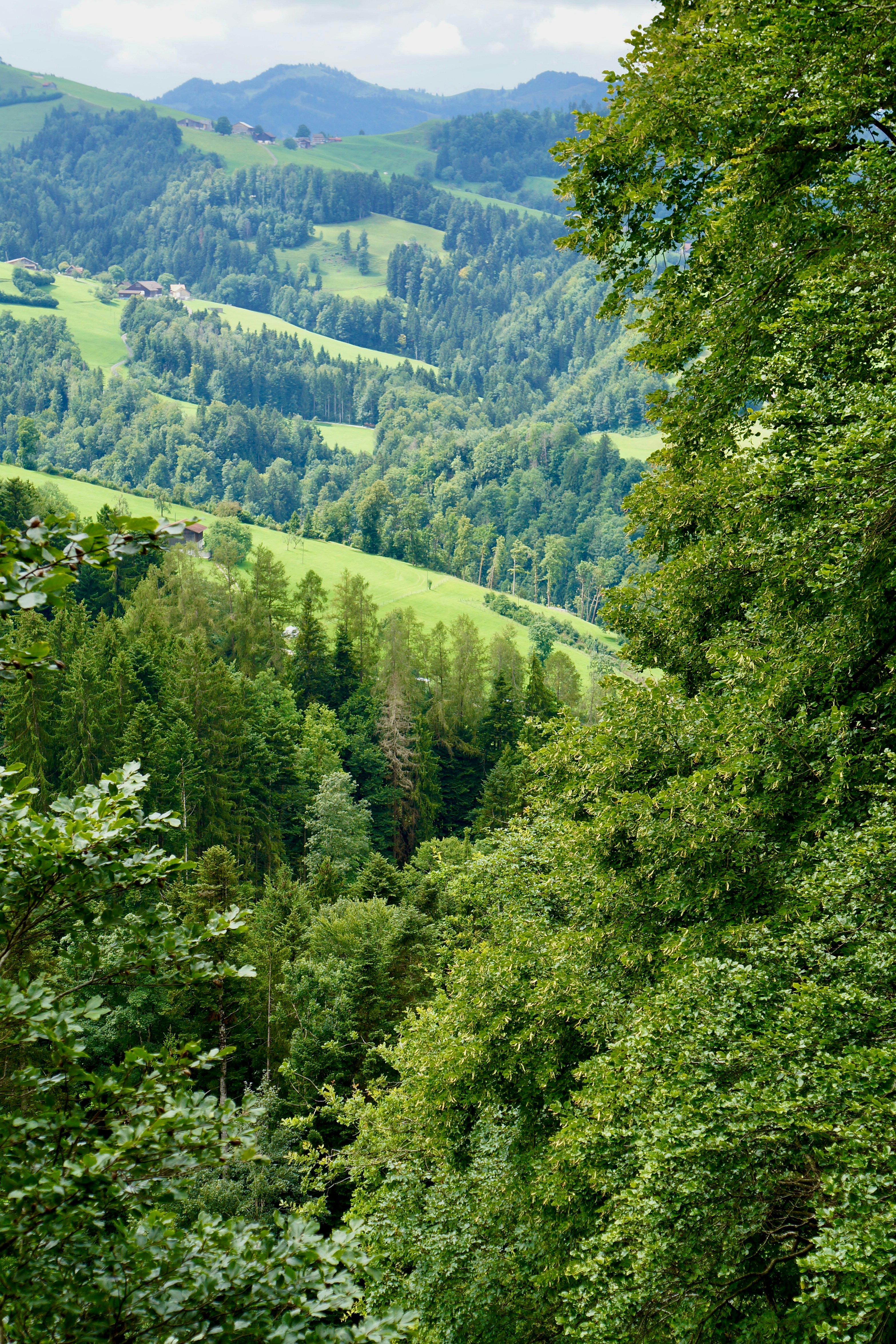 Photo by peterburdon