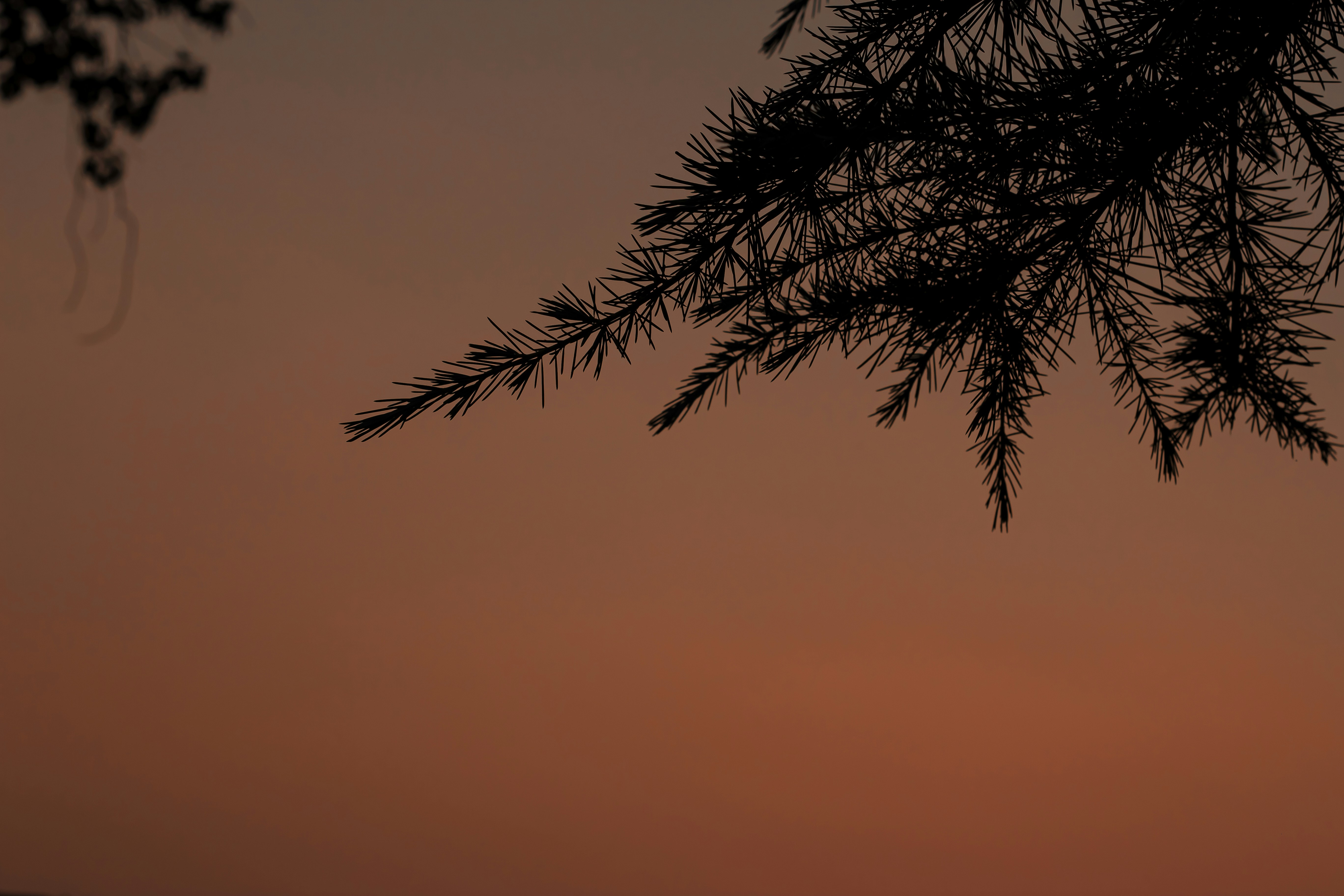 Photo by dylanhendricks