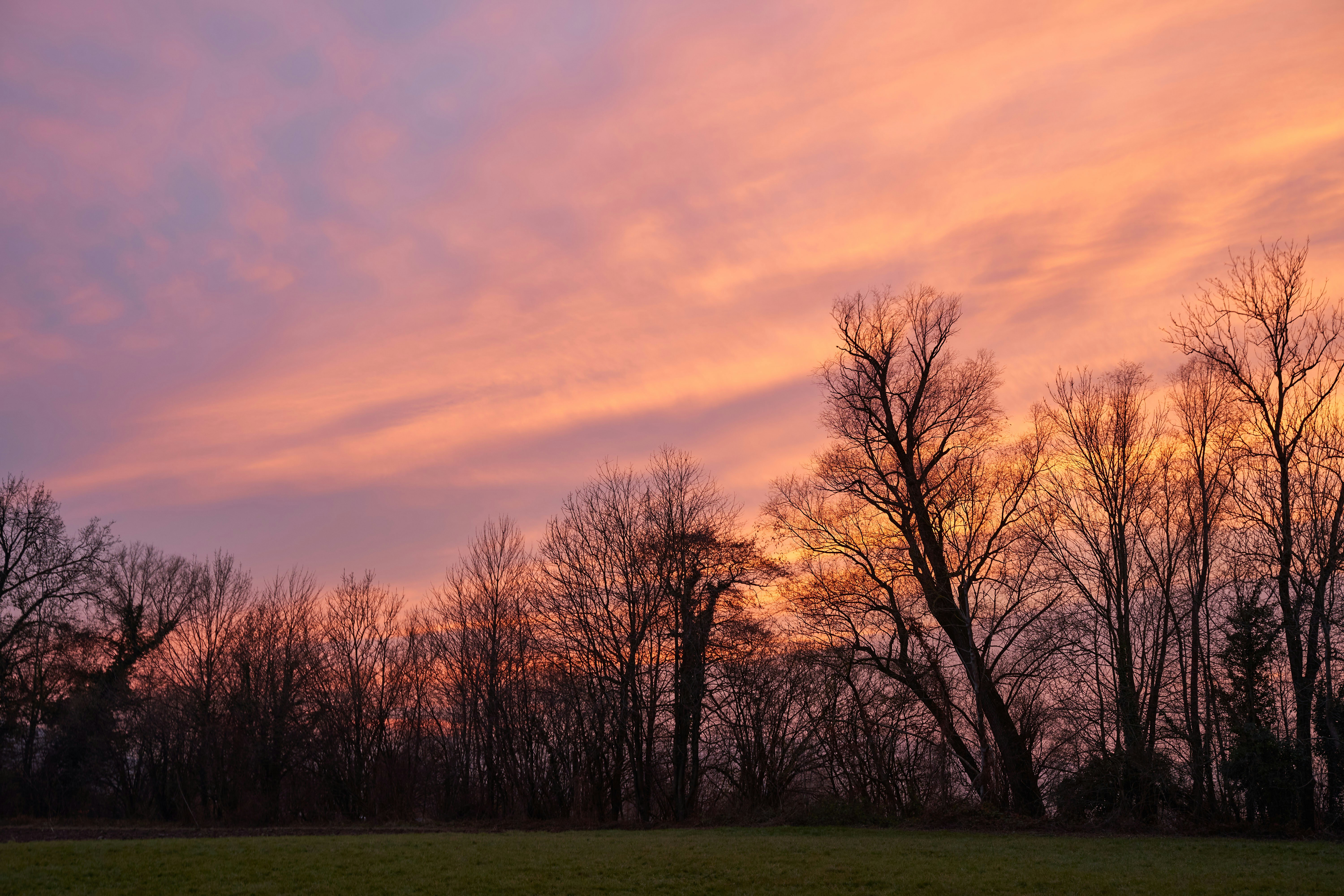 Photo by wolfgang_hasselmann